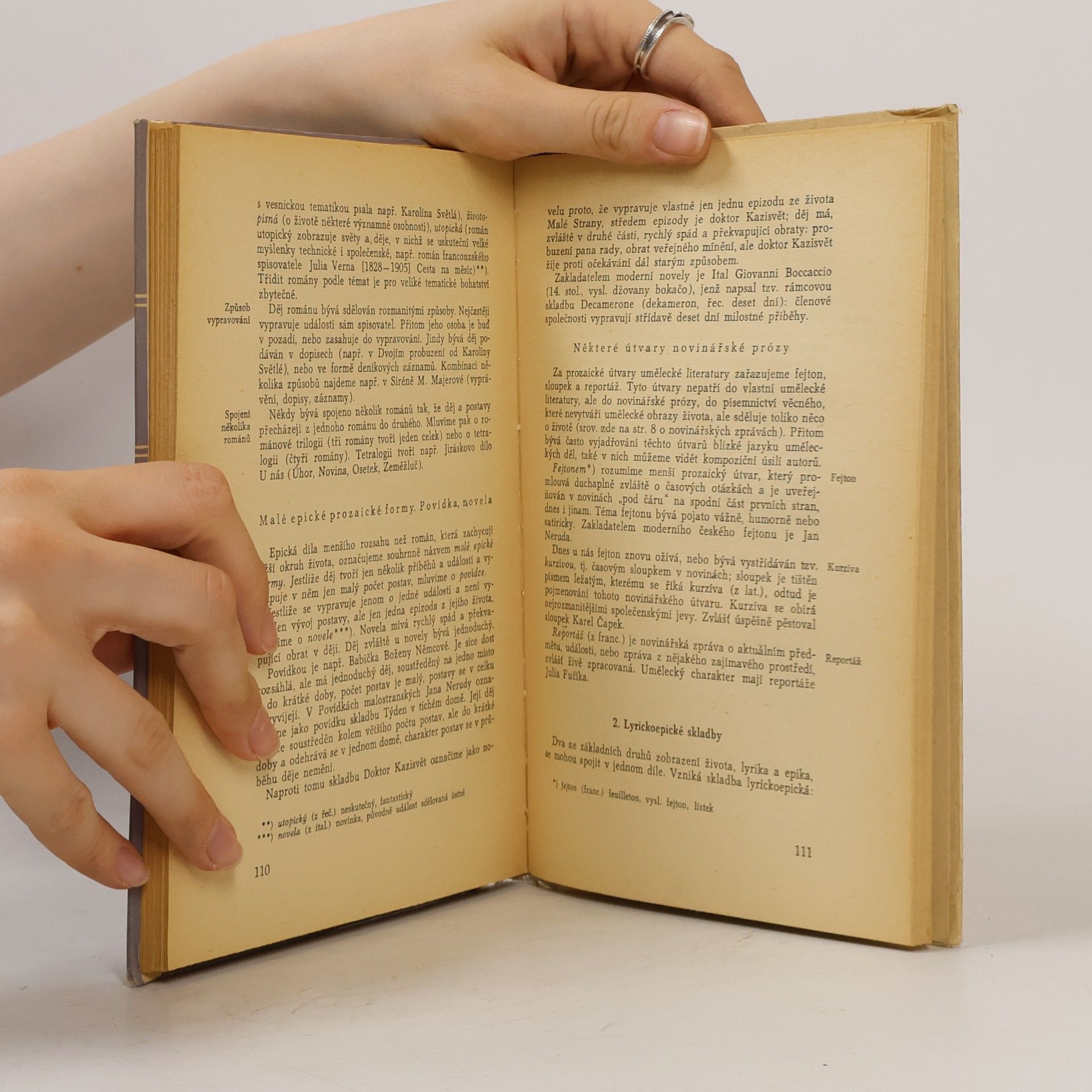 Svatopluk Cenek Teorie literatury