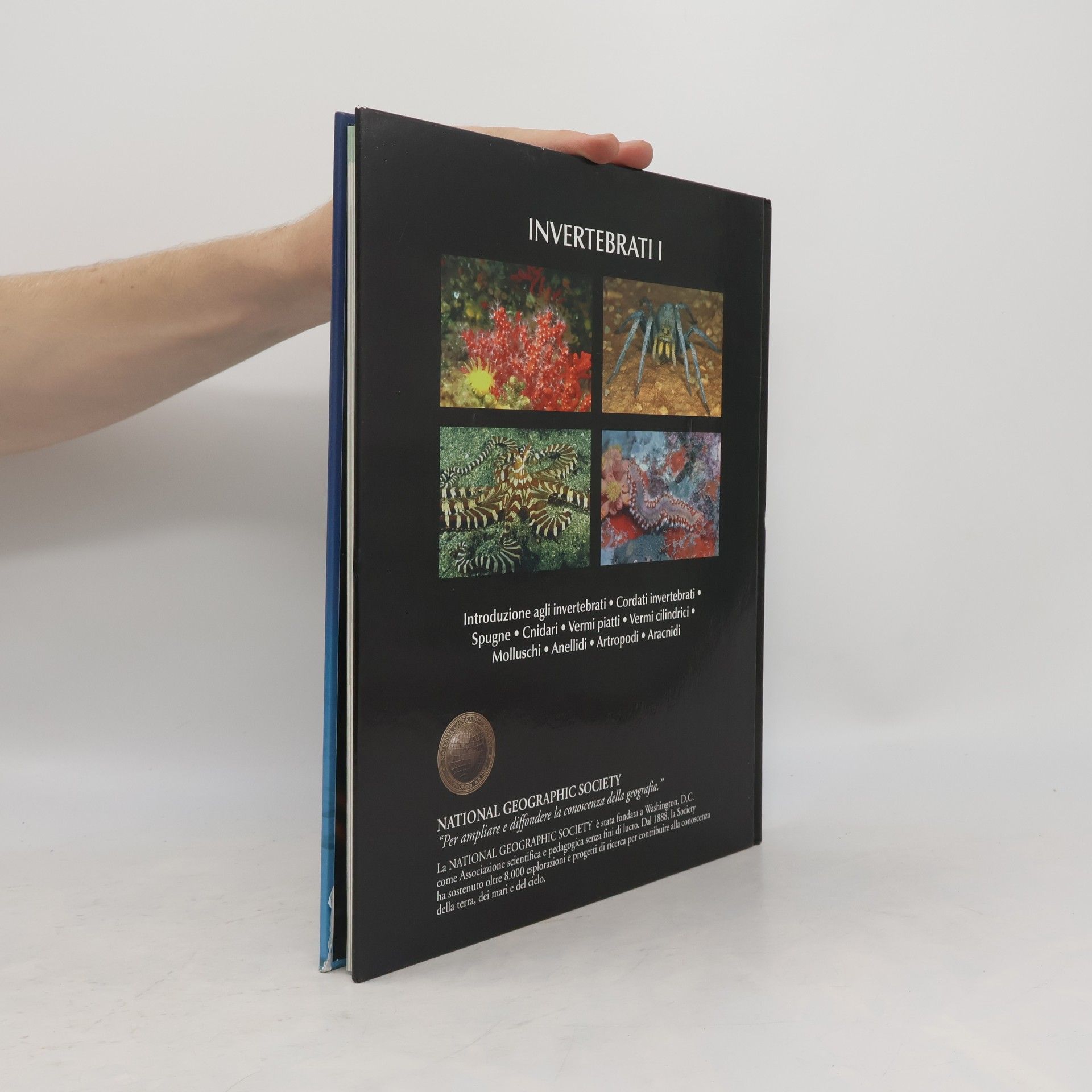Autorenkollektiv National Geographic. Enciclopedia degli Animali Invertebrati I