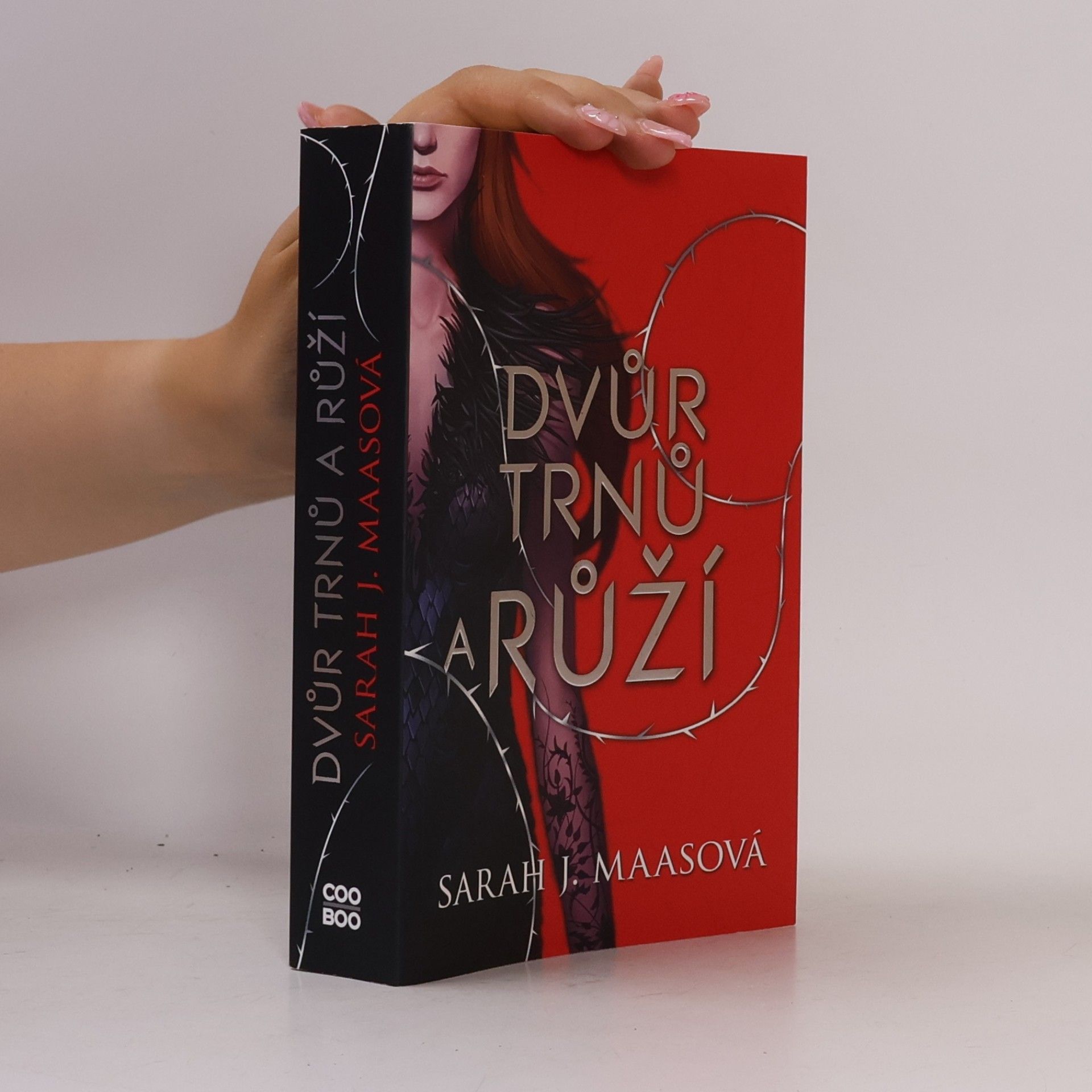 Sarah J. Maas Dvůr trnů a růží