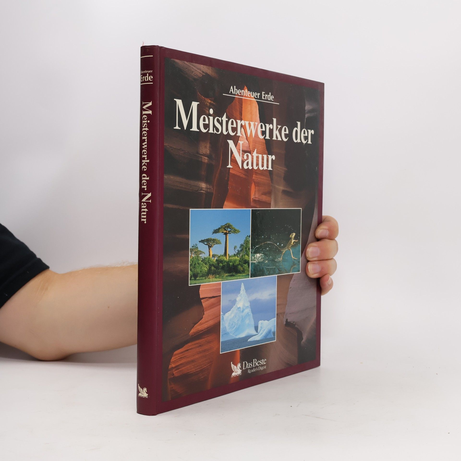 Autorenkollektiv Meisterwerke der Natur