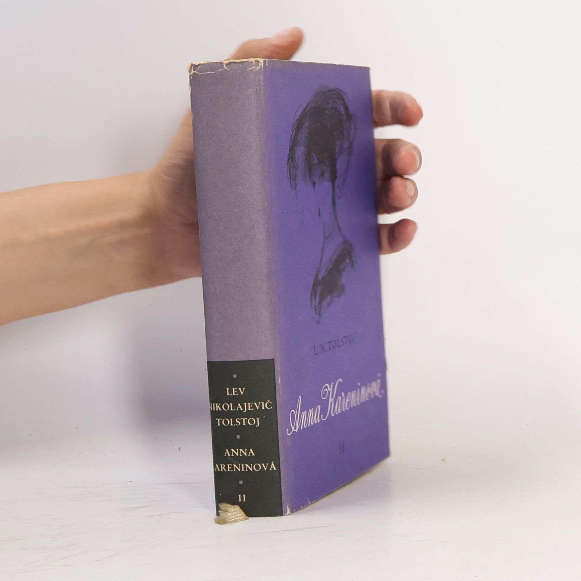Lew Nikolajewitsch Tolstoi Anna Kareninová II.