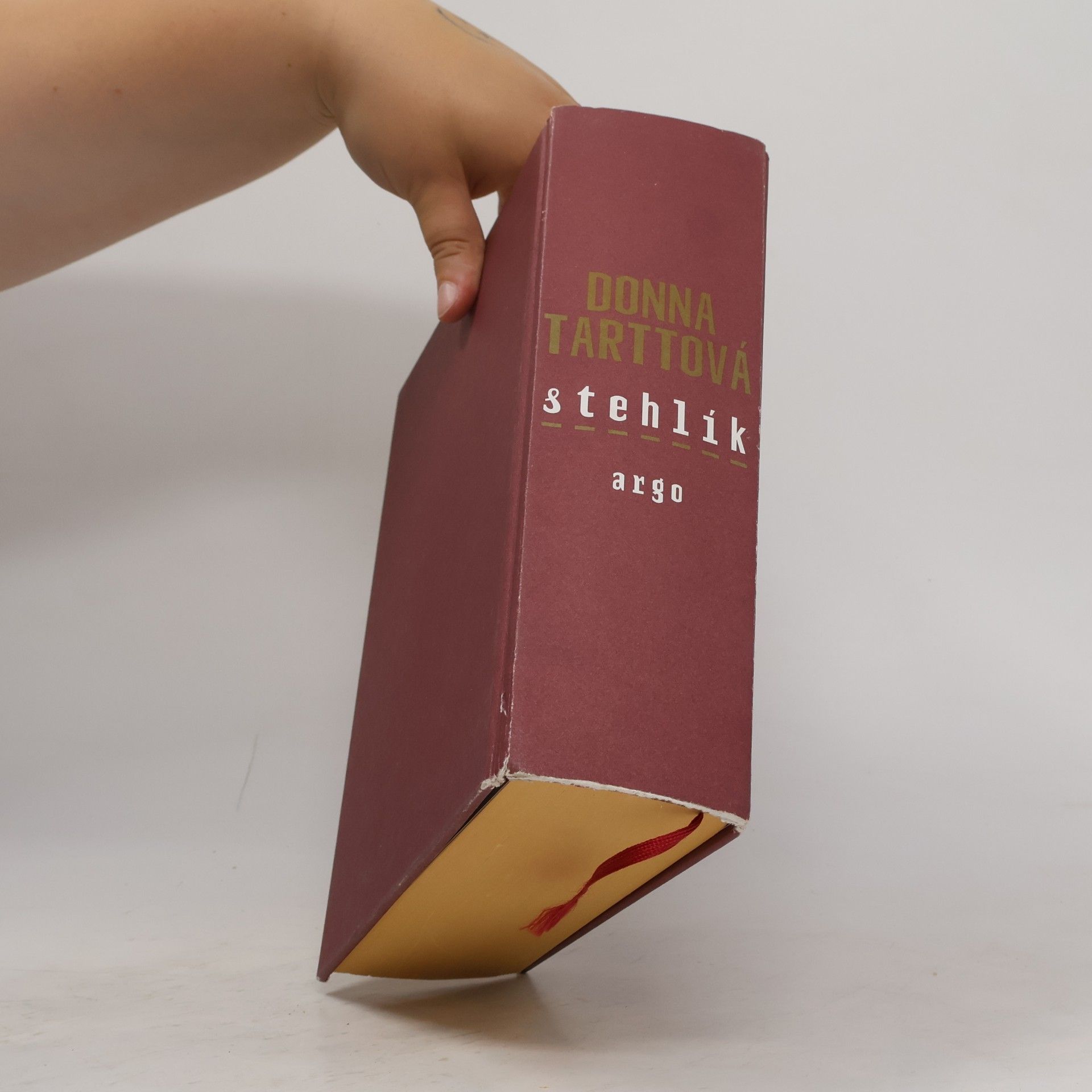 Donna Tartt Stehlík