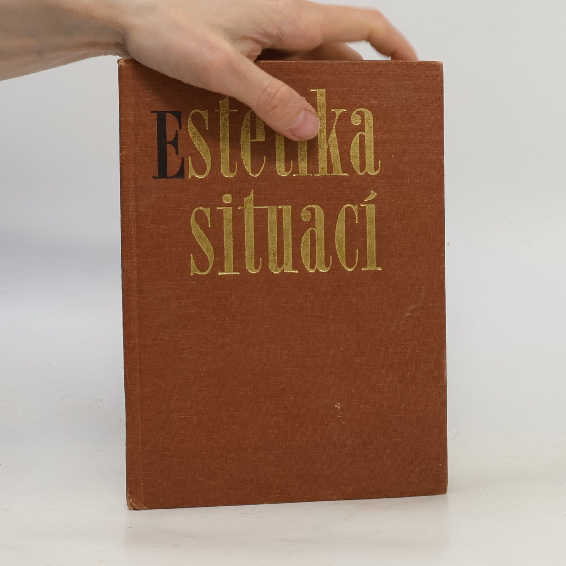 Dušan Šindelář Estetika situací