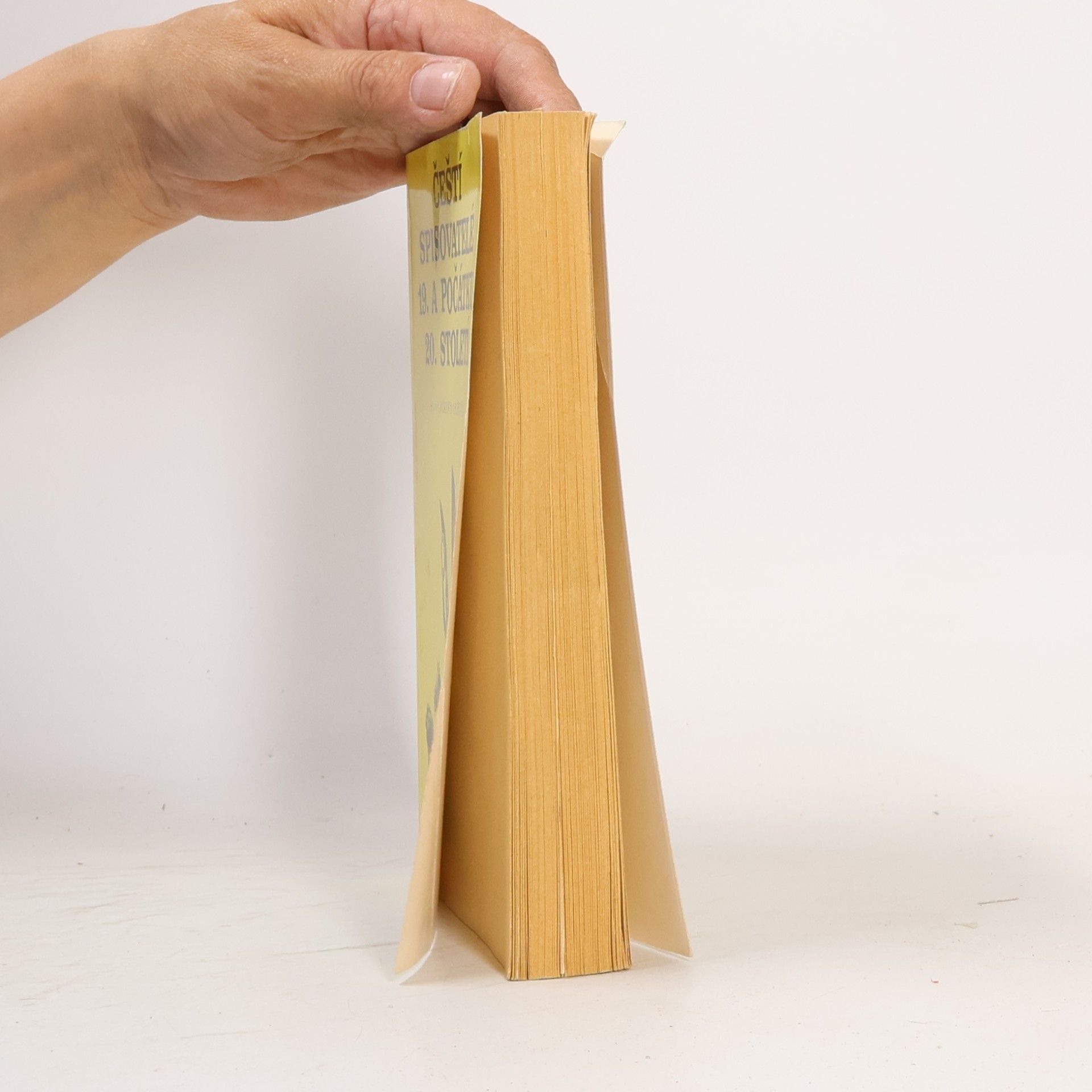 Autorenkollektiv Čeští spisovatelé 19. a počátku 20. století