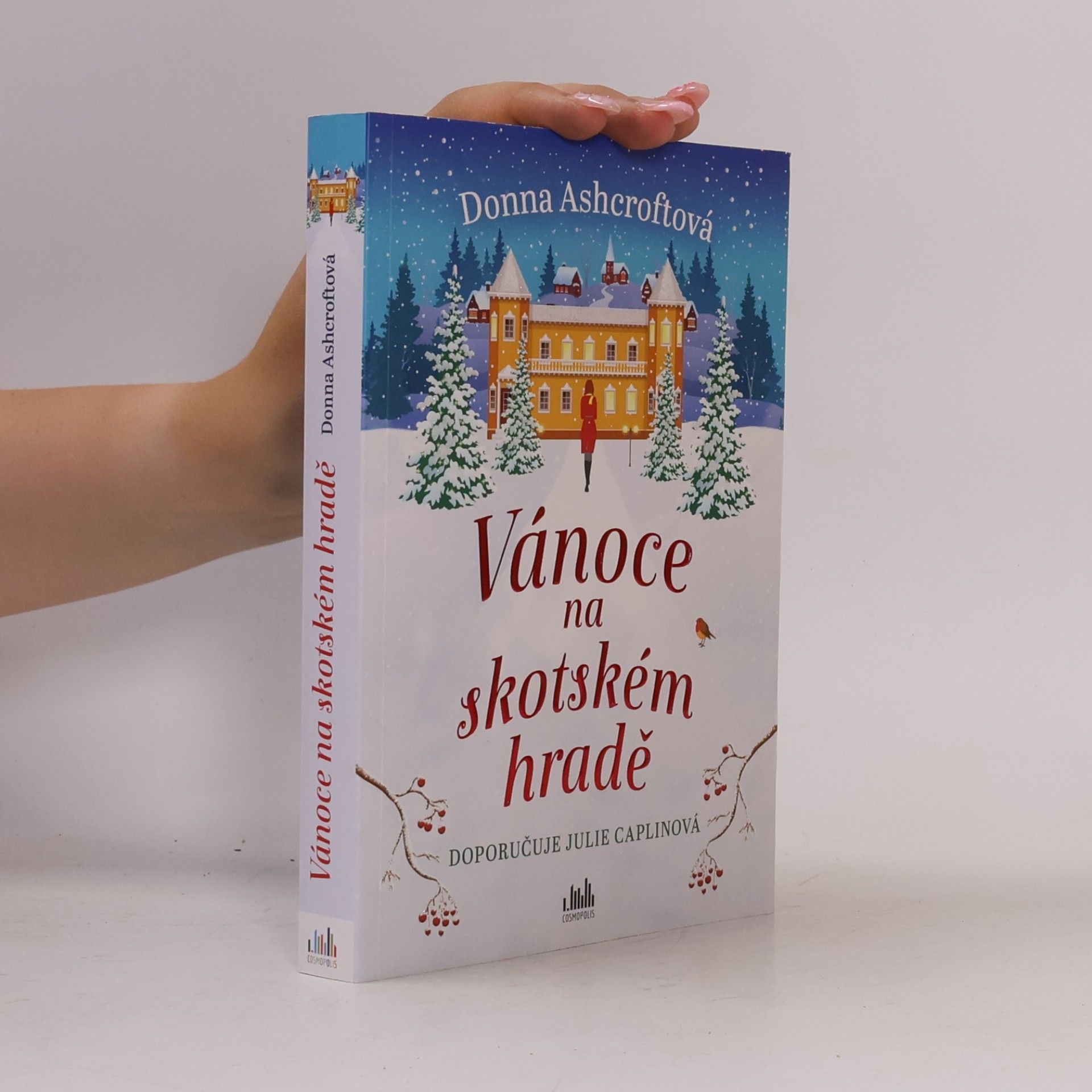Donna Ashcroft Vánoce na skotském hradě