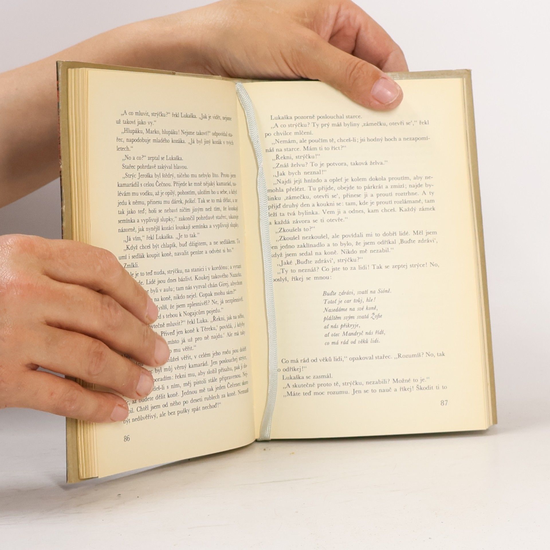 Lew Nikolajewitsch Tolstoi Kozáci