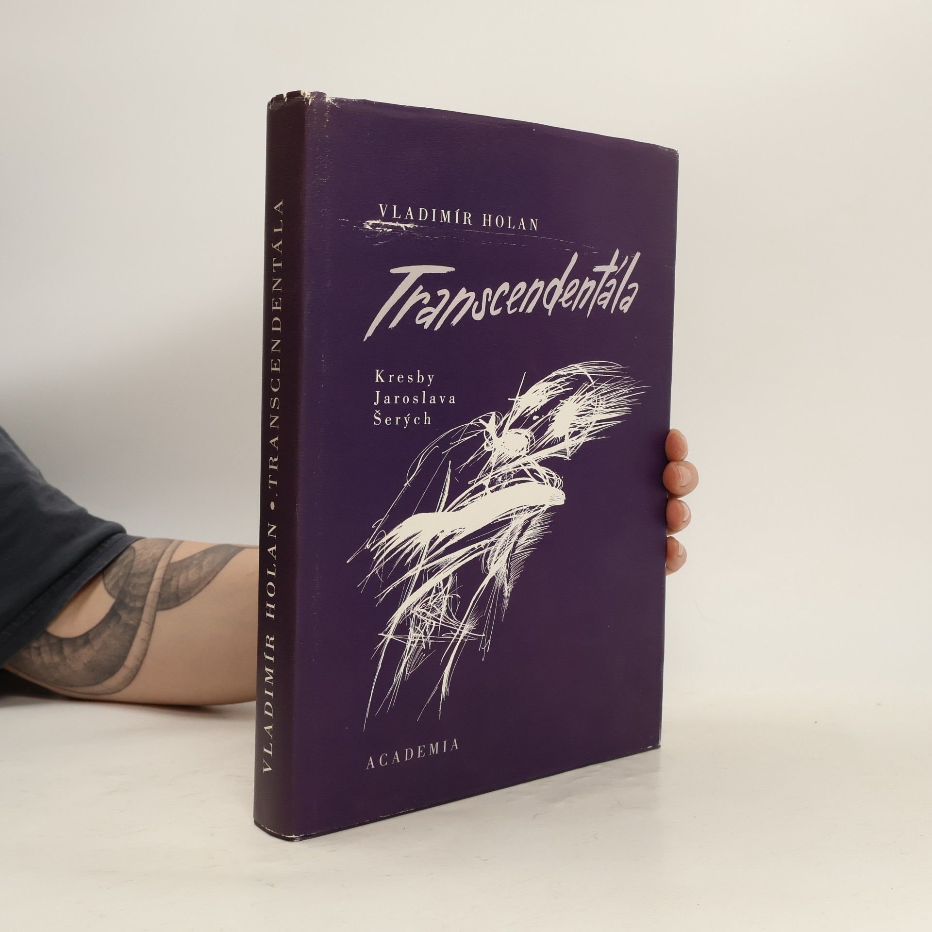 Transcendentála: Výbor z díla