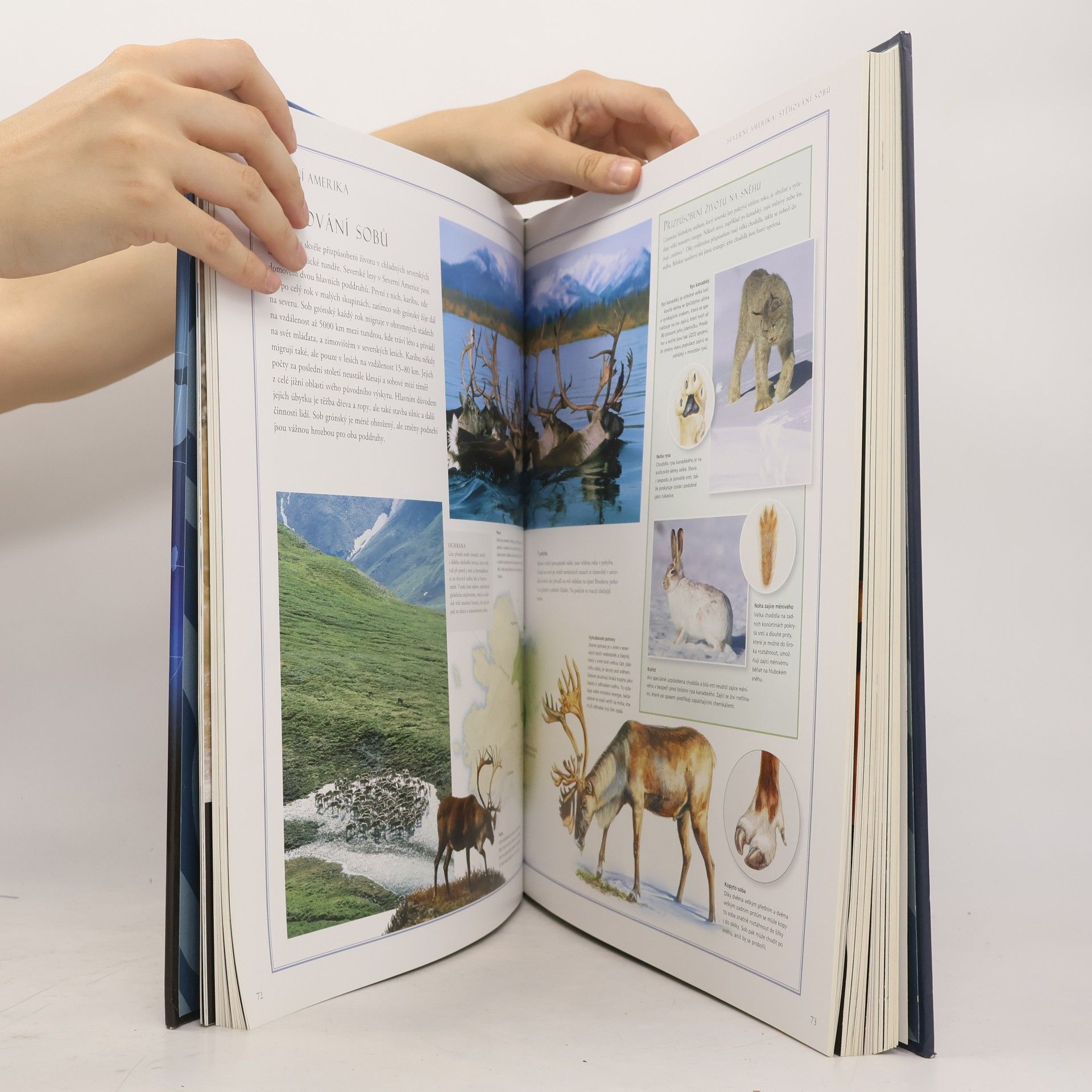 Weldon Owen Velký ilustrovaný atlas zvířat