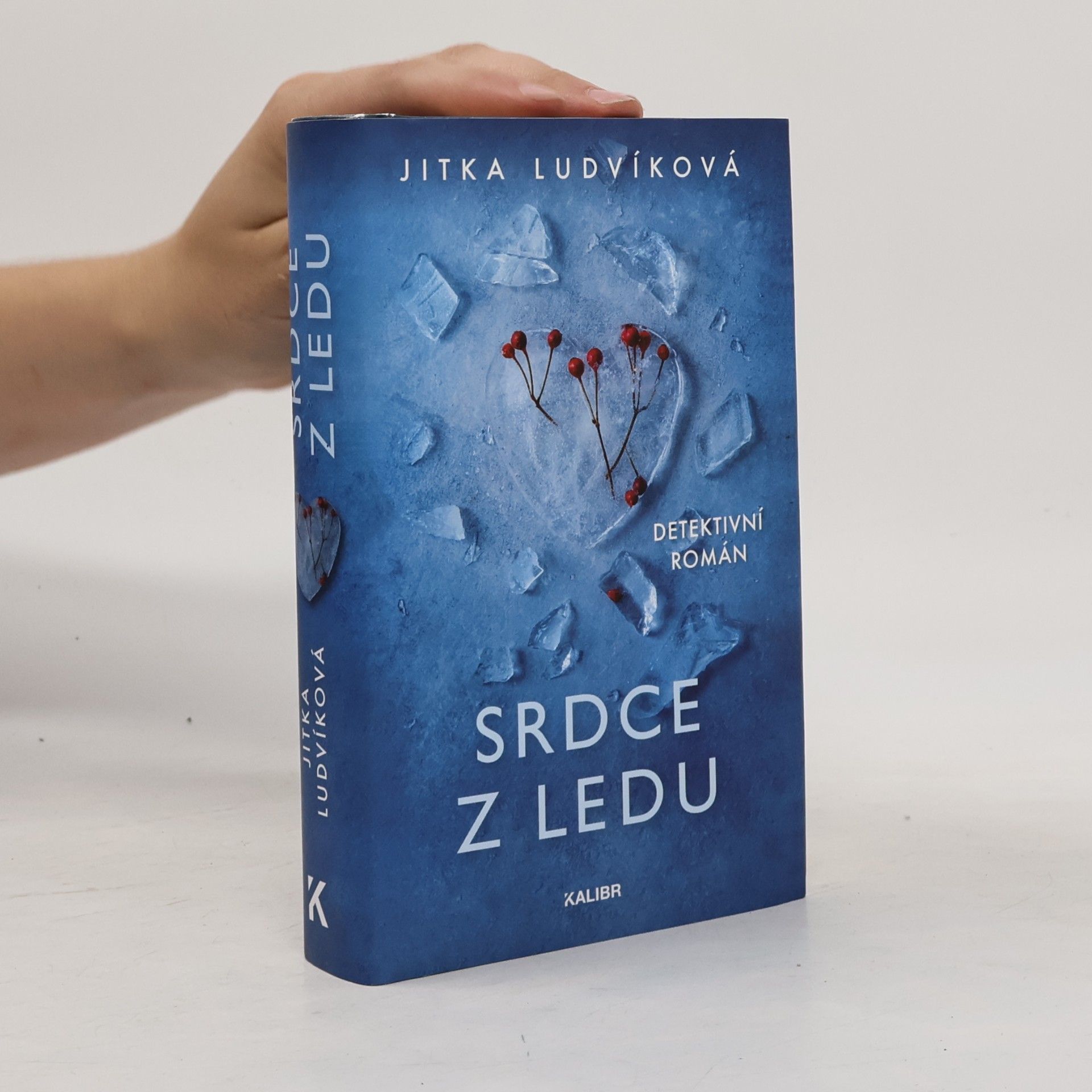 Jitka Ludvíková Srdce z ledu