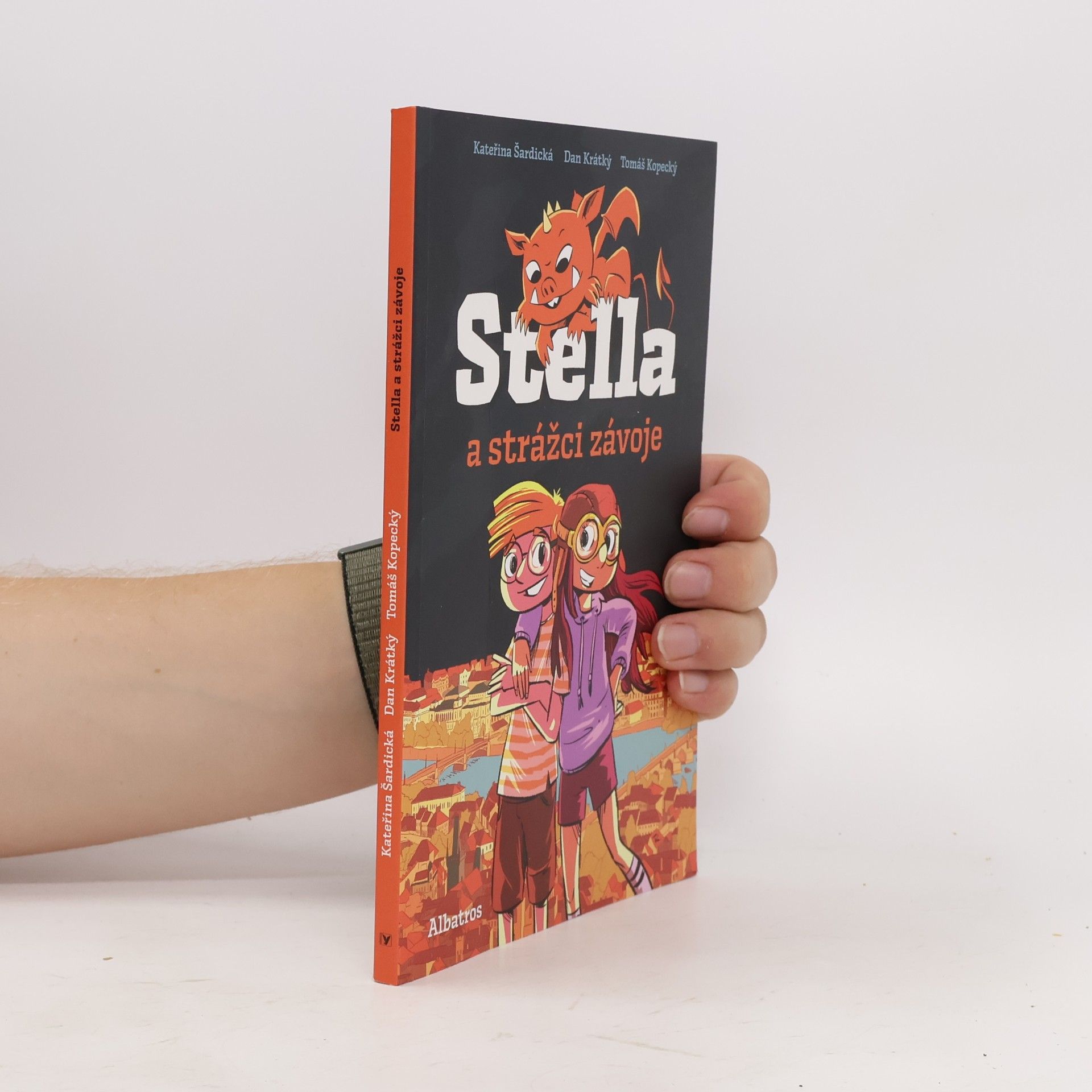 Stella a strážci závoje
