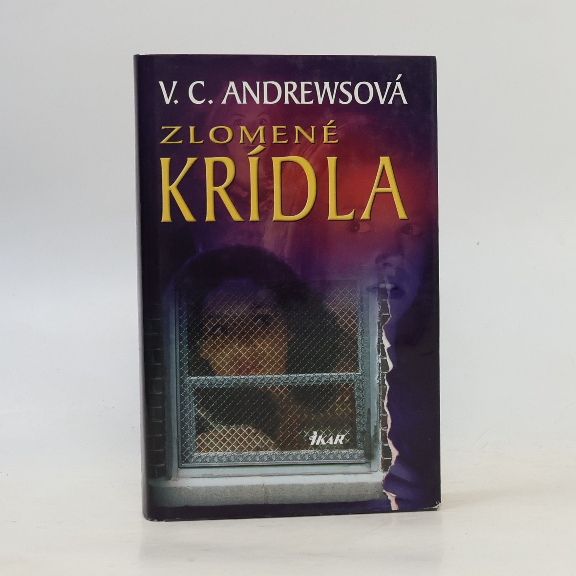 Virginia C. Andrewsová Zlomené krídla