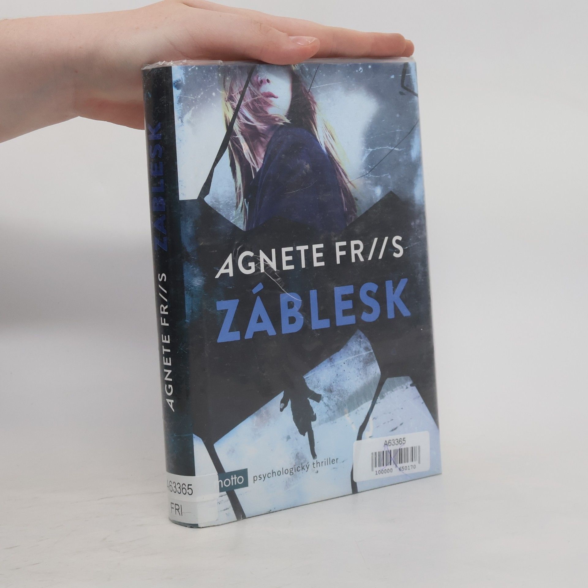 Agnete Friis Záblesk