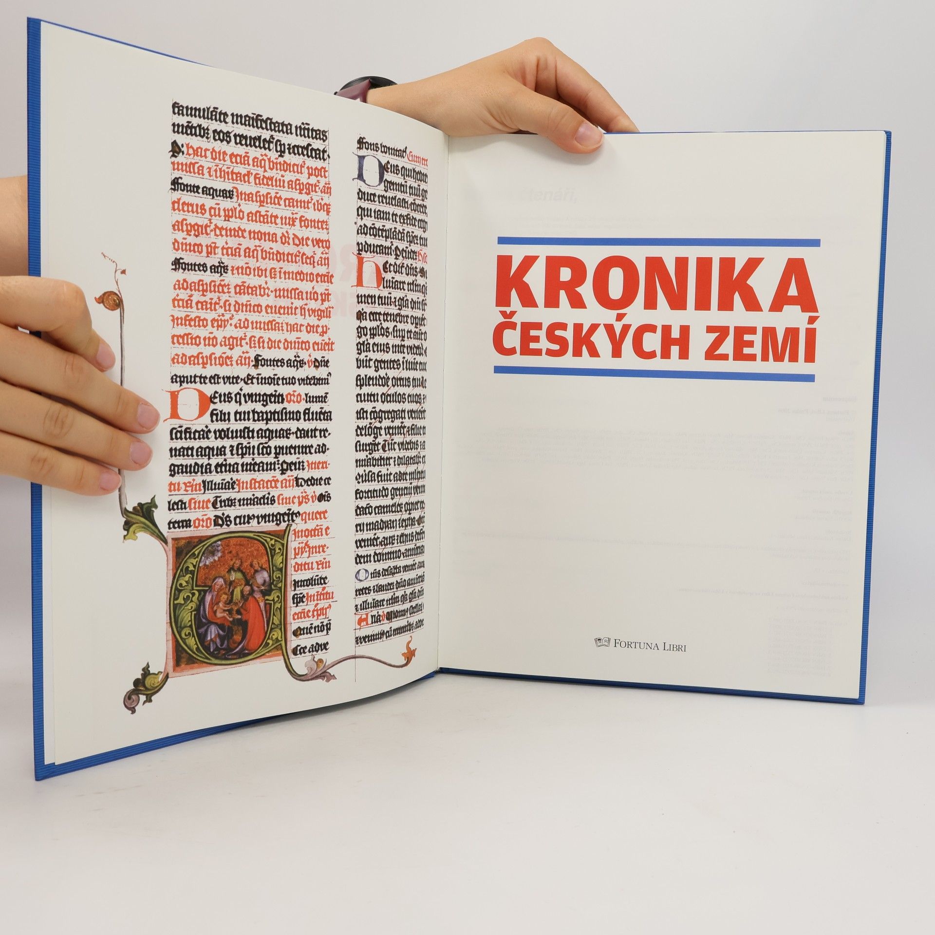 Kolektiv autorů Kronika českých zemí. Pravěk - 1249