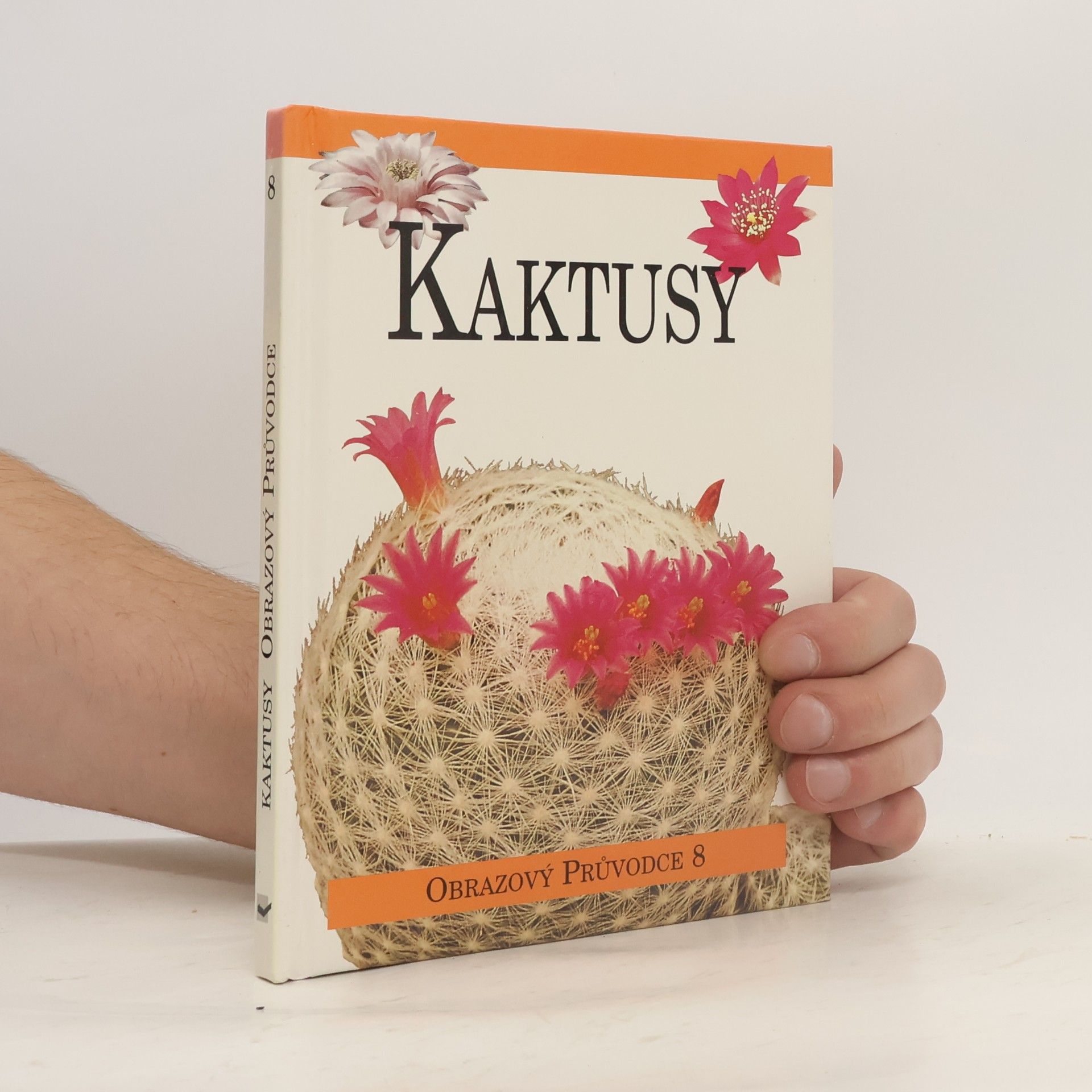 Lukáš Fischer Kaktusy