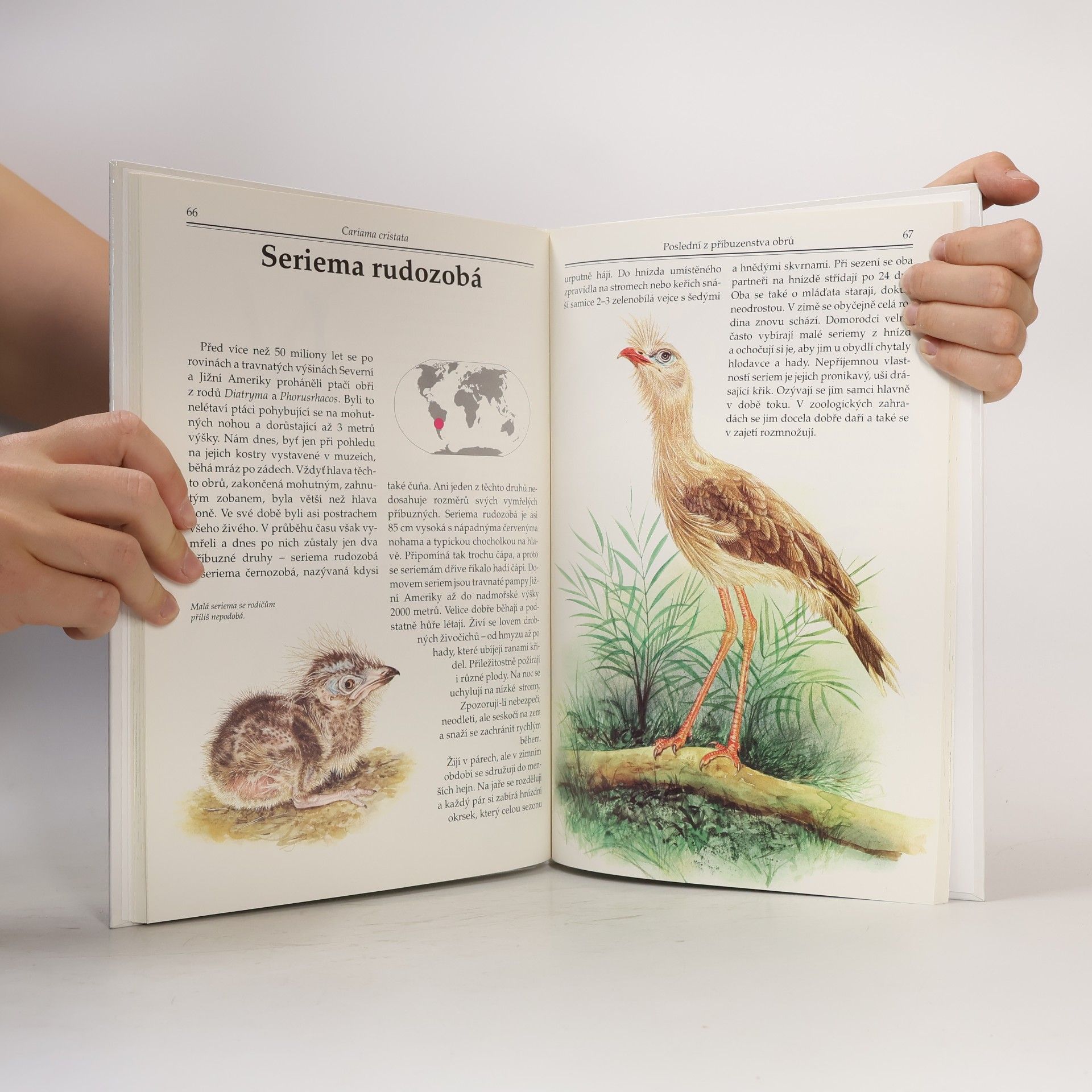 Evžen Kůs Ptáci v zoo: Cizokrajní opeřenci a jejich mláďata