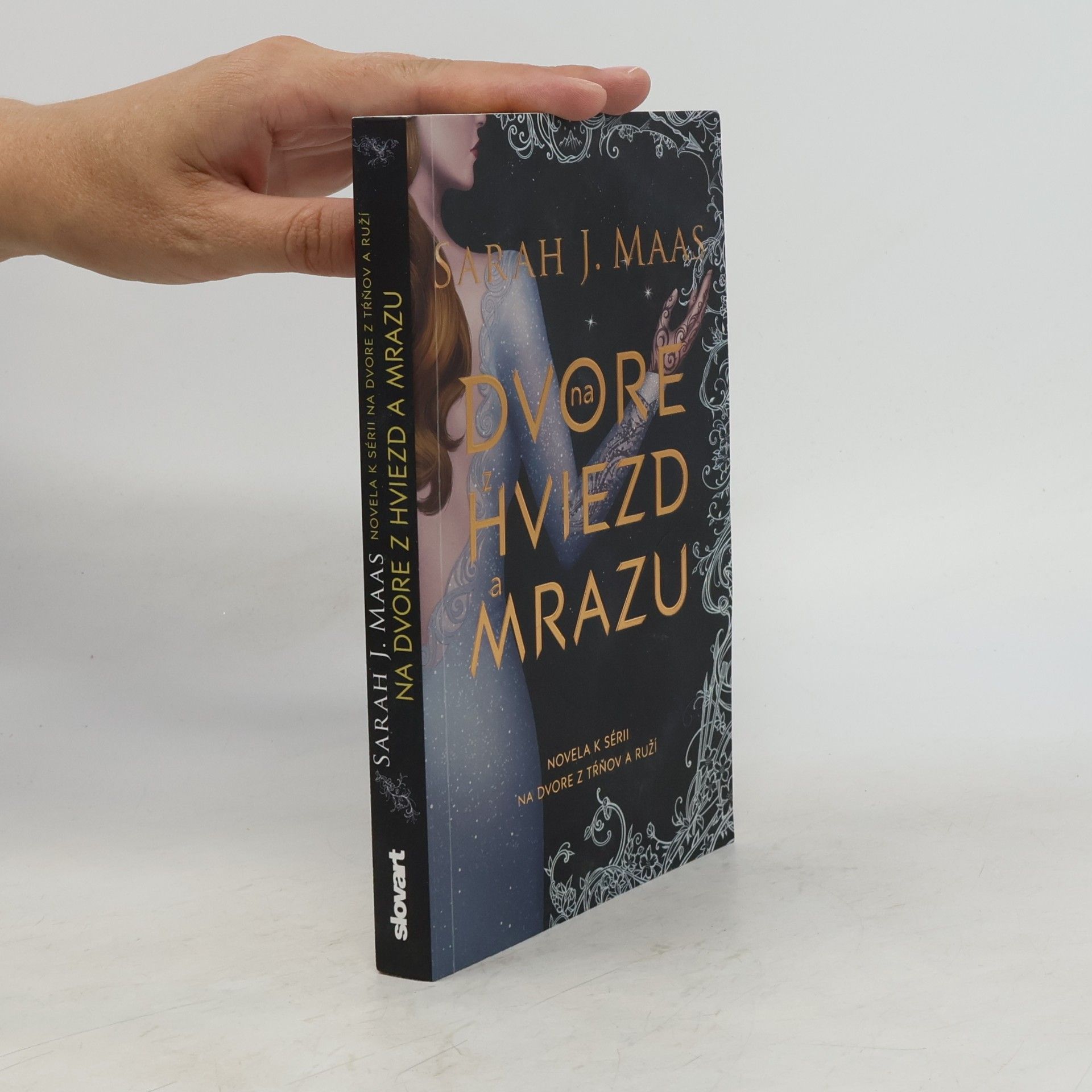 Sarah J. Maasová Na dvore z hviezd a mrazu