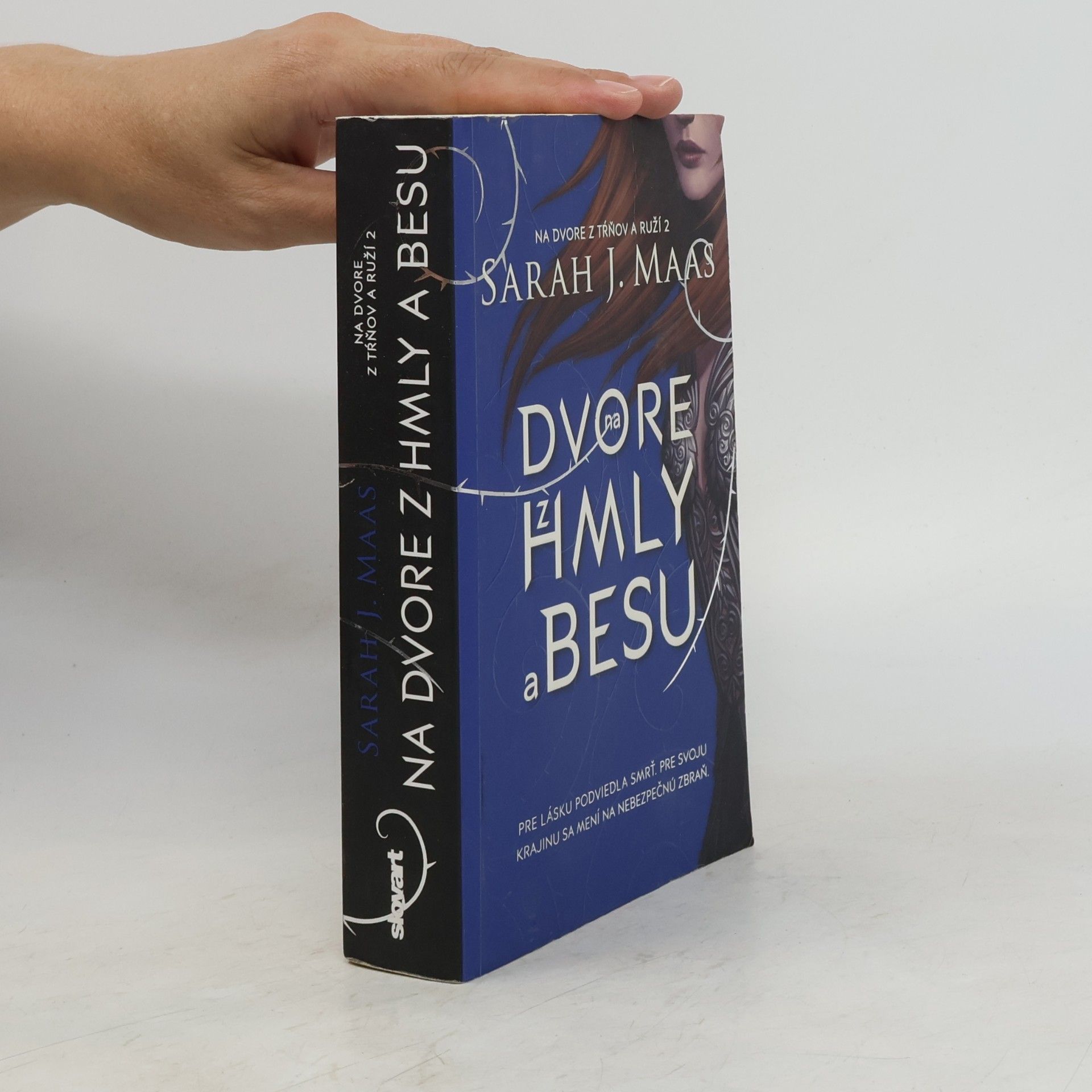 Sarah J. Maas Na dvore z hmly a besu