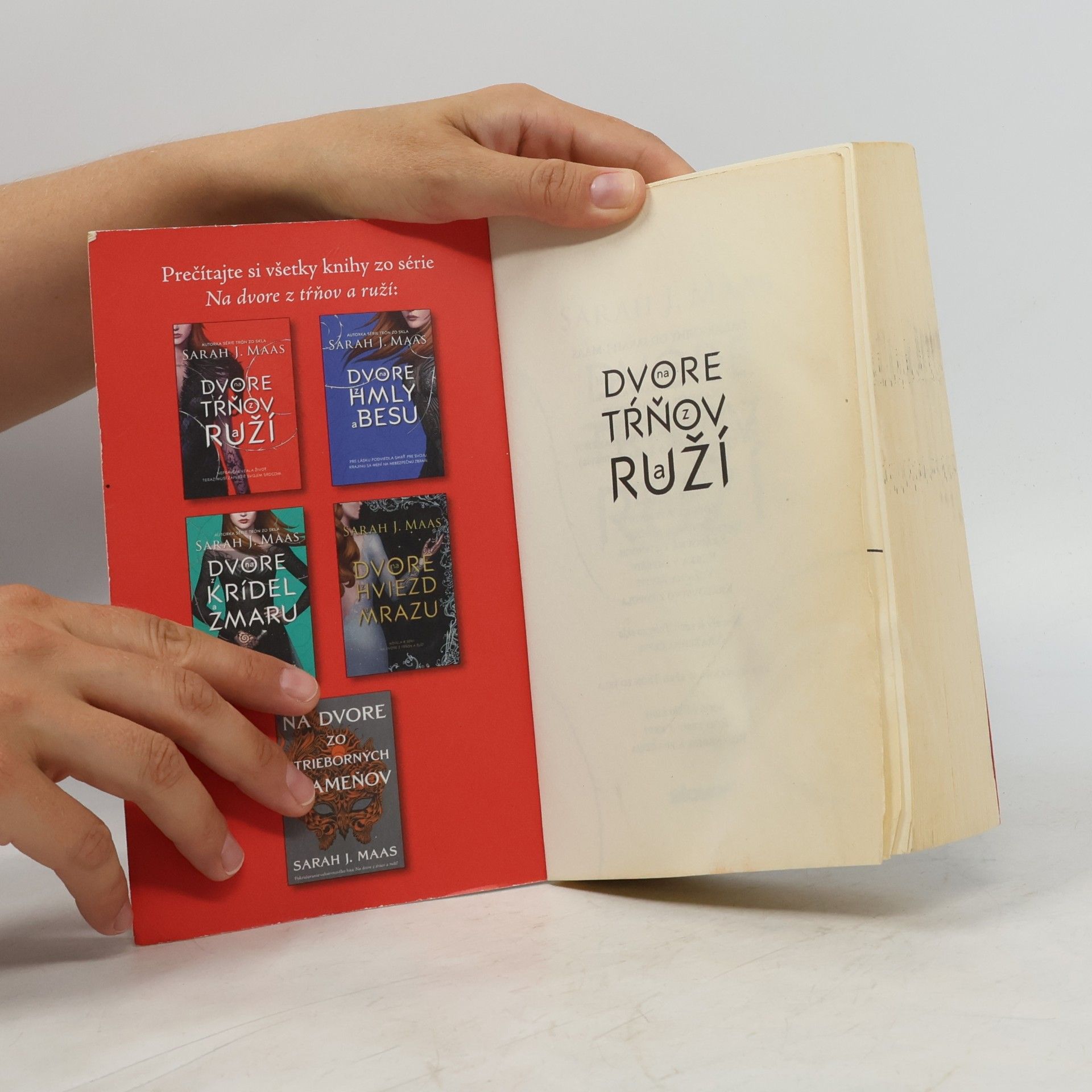 Sarah J. Maas Na dvore z tŕňov a ruží