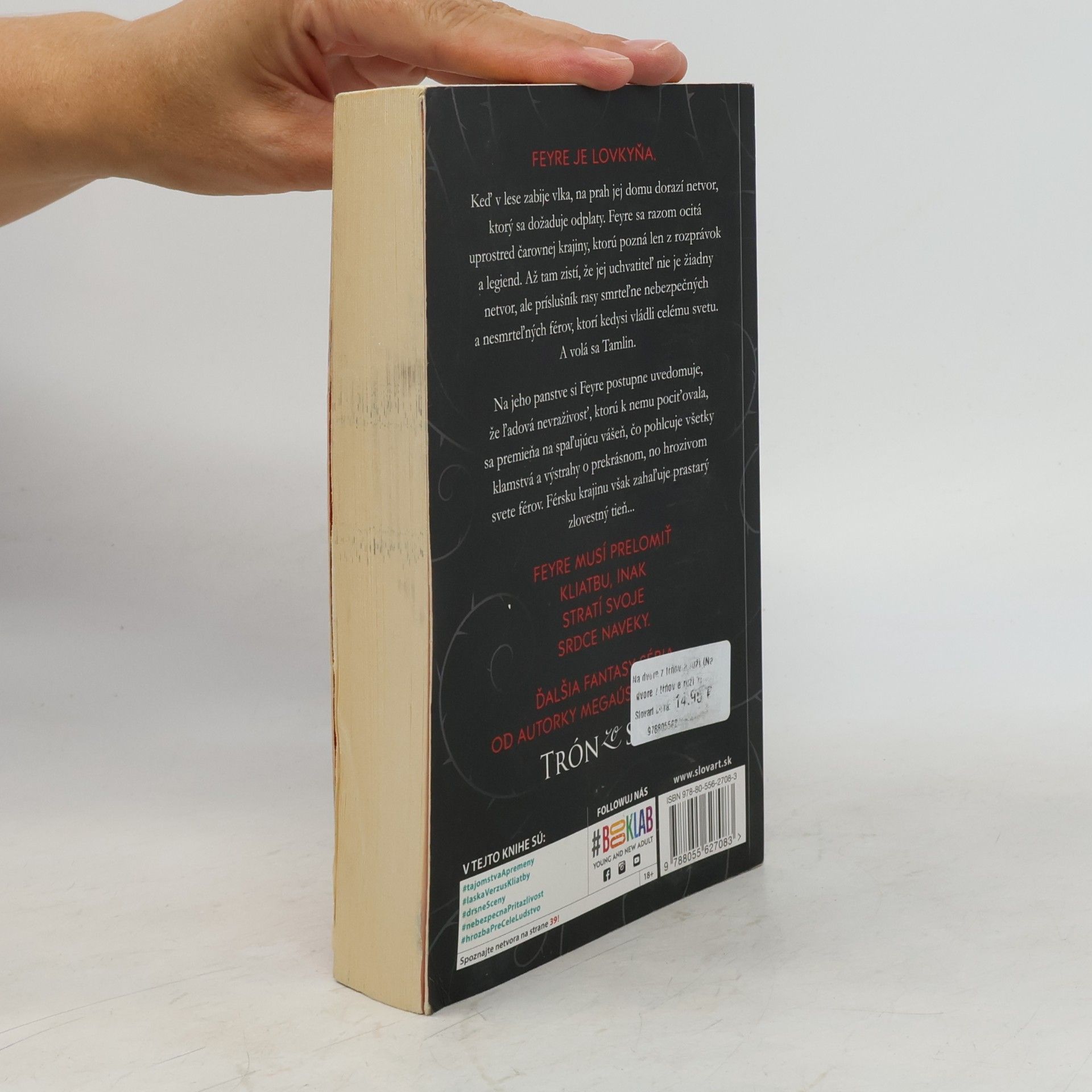 Sarah J. Maas Na dvore z tŕňov a ruží