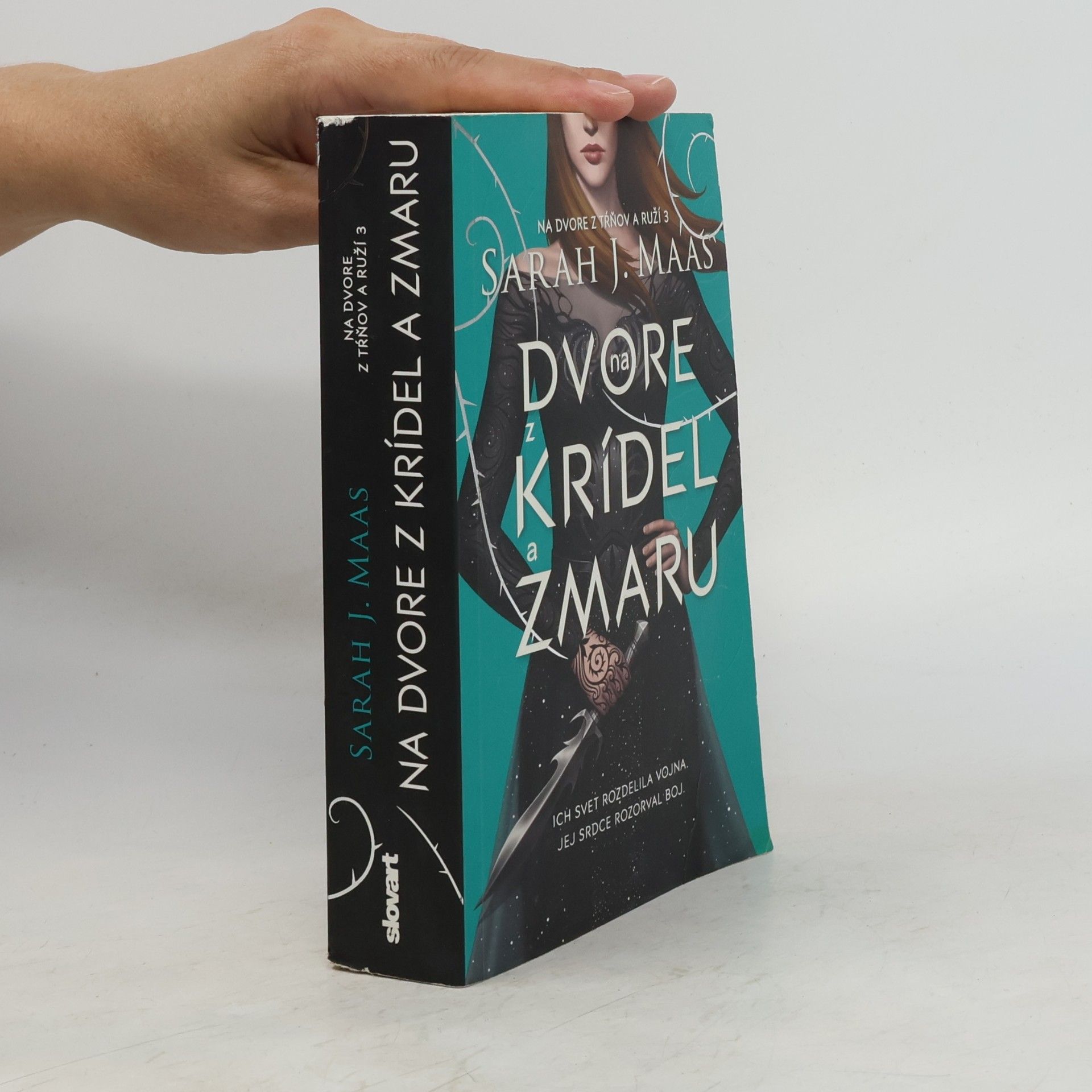 Sarah J. Maas Na dvore z krídel a zmaru