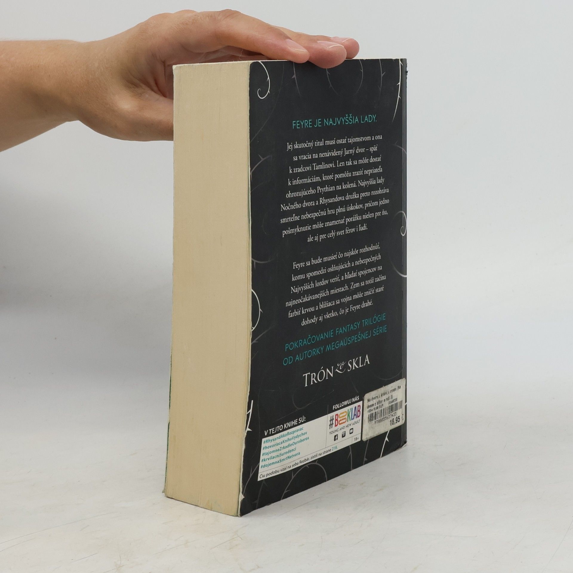 Sarah J. Maas Na dvore z krídel a zmaru