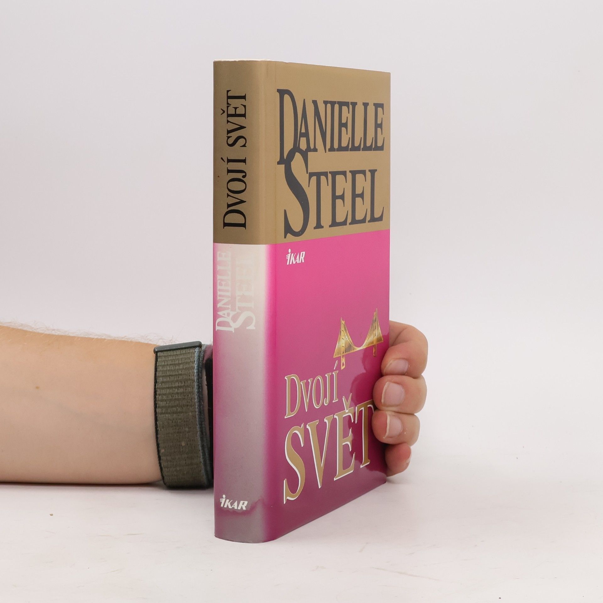 Danielle Steel Dvojí svět