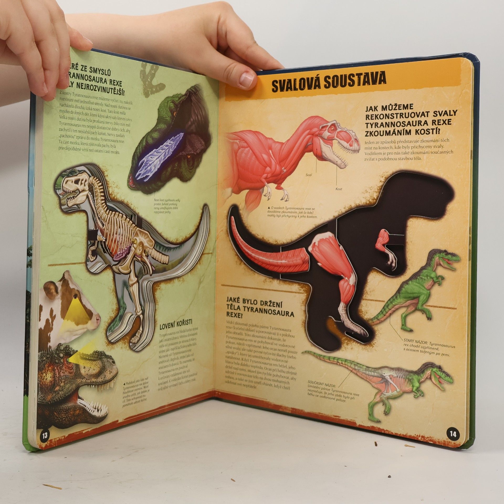 Dennis Schatz T-Rex zevnitř: Poznej nejslavnějšího dinosaura na světě!