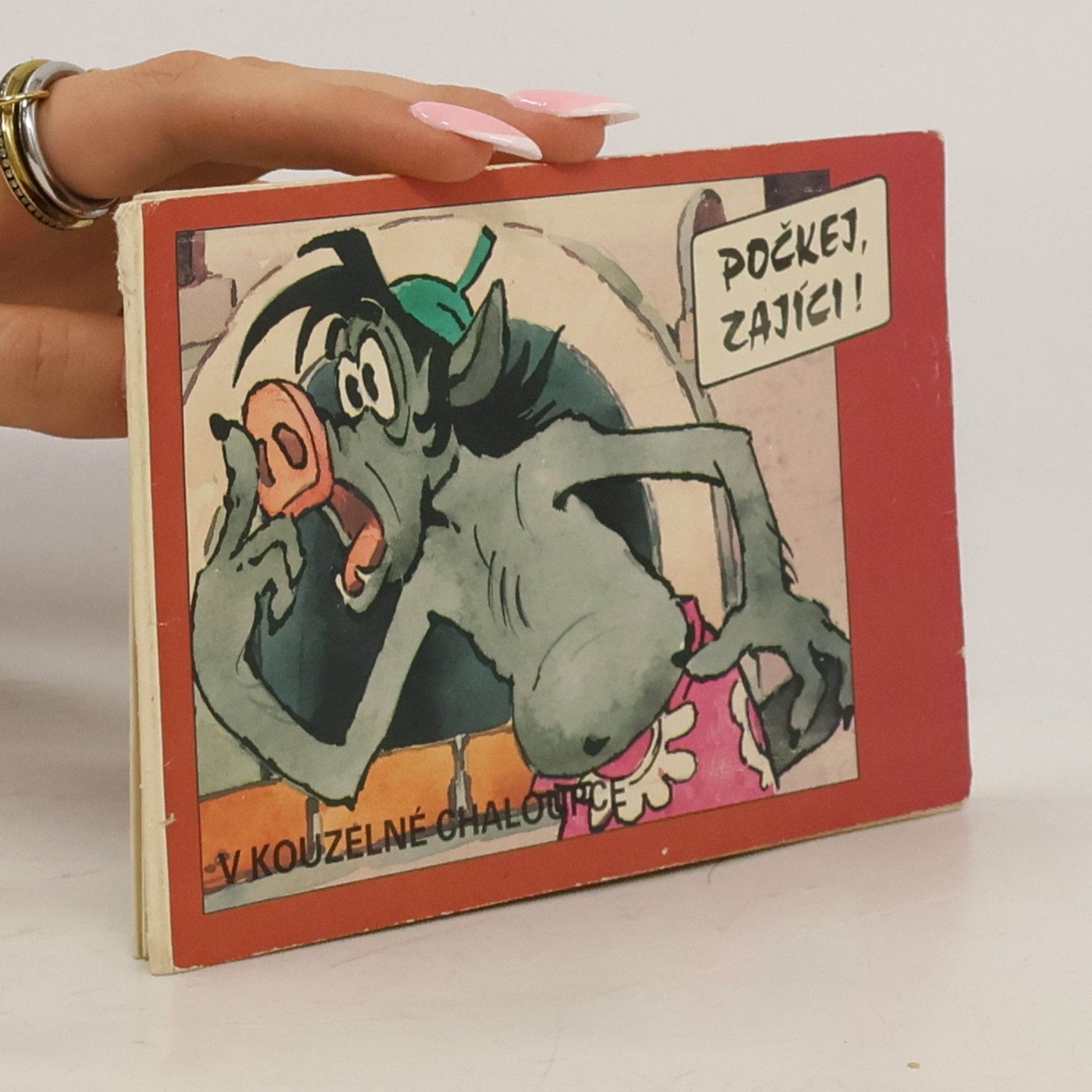 S. K. Rusakov Počkej, zajíci! V kouzelné chaloupce