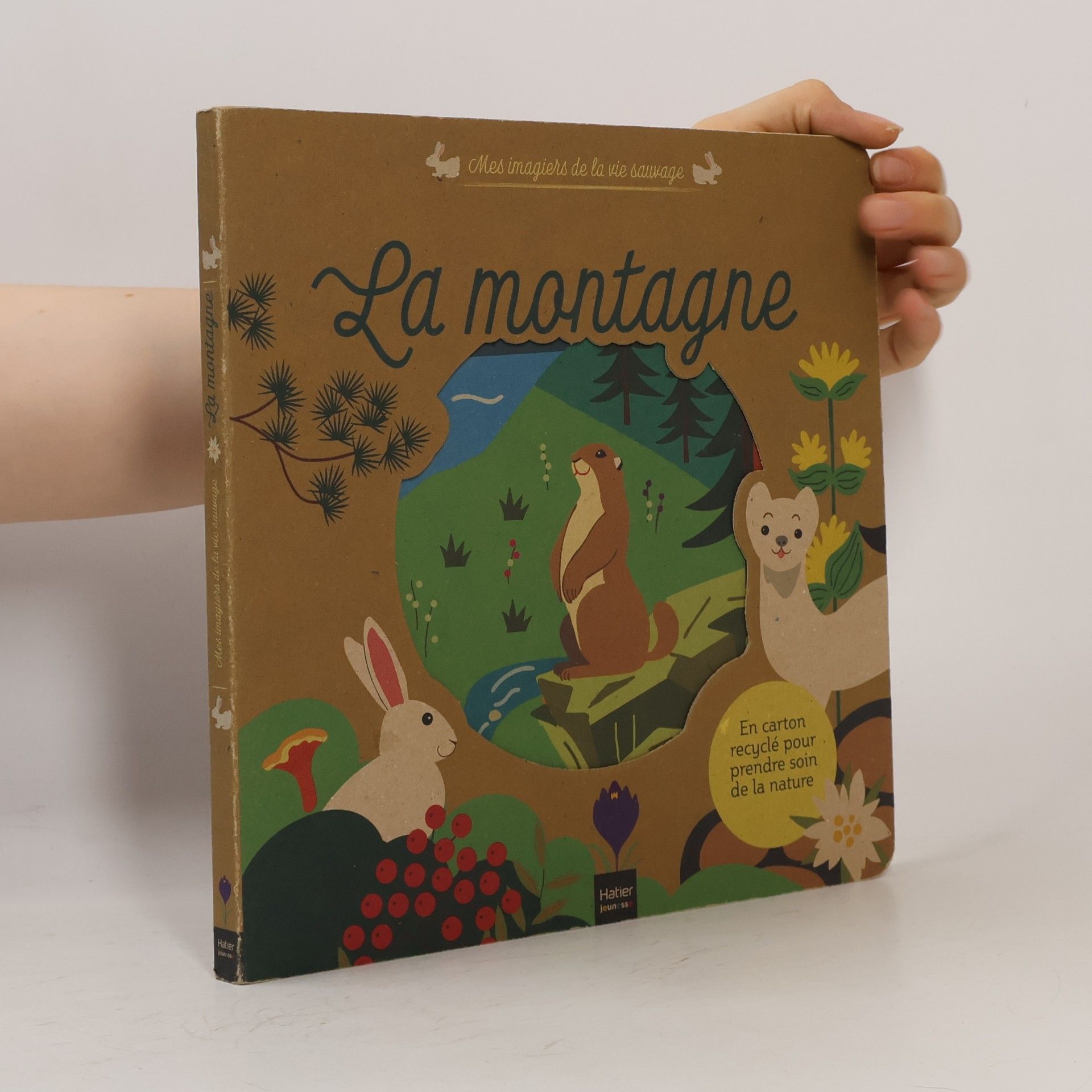 Mes imagiers de la vie sauvage: La montagne