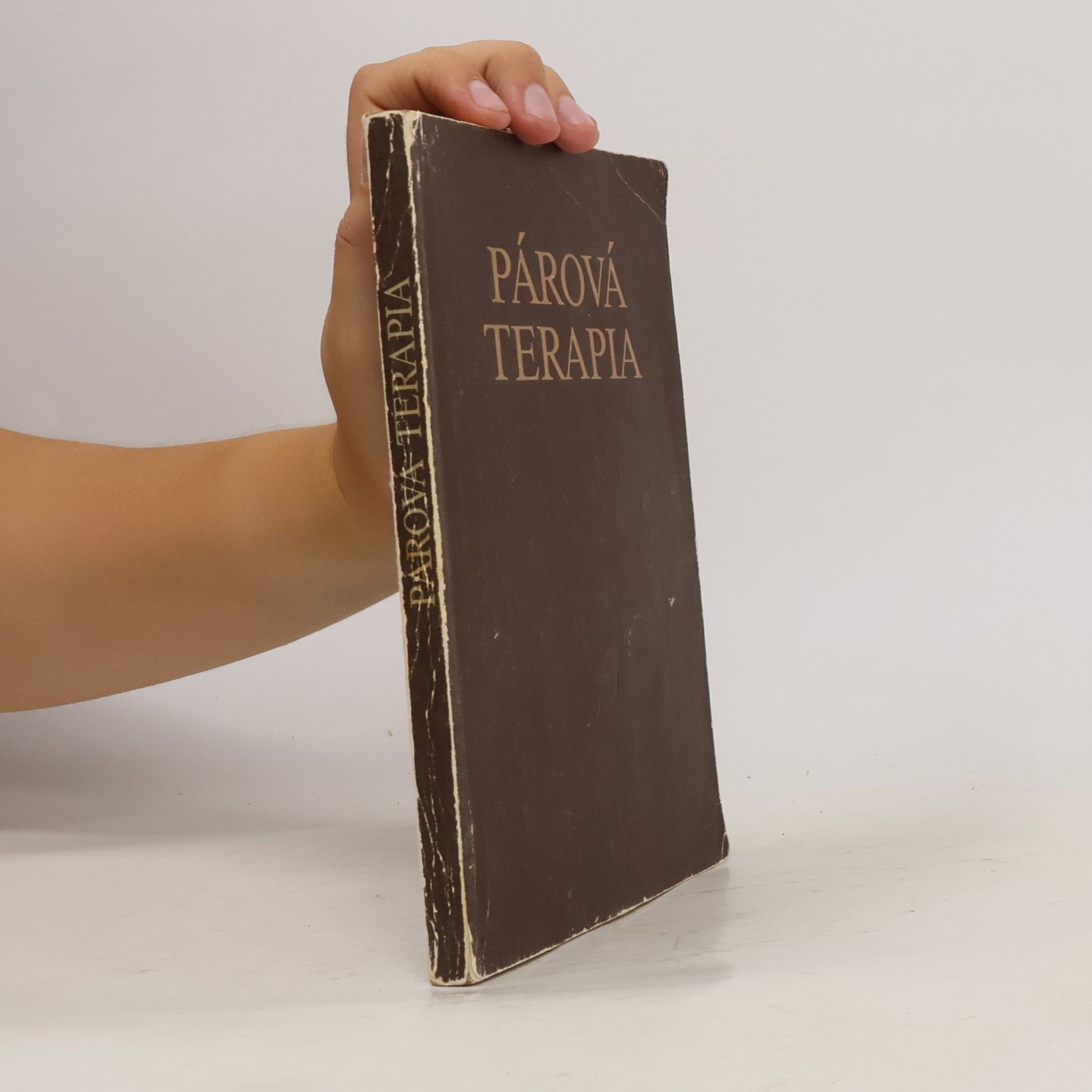 Autorenkollektiv Párová terapia