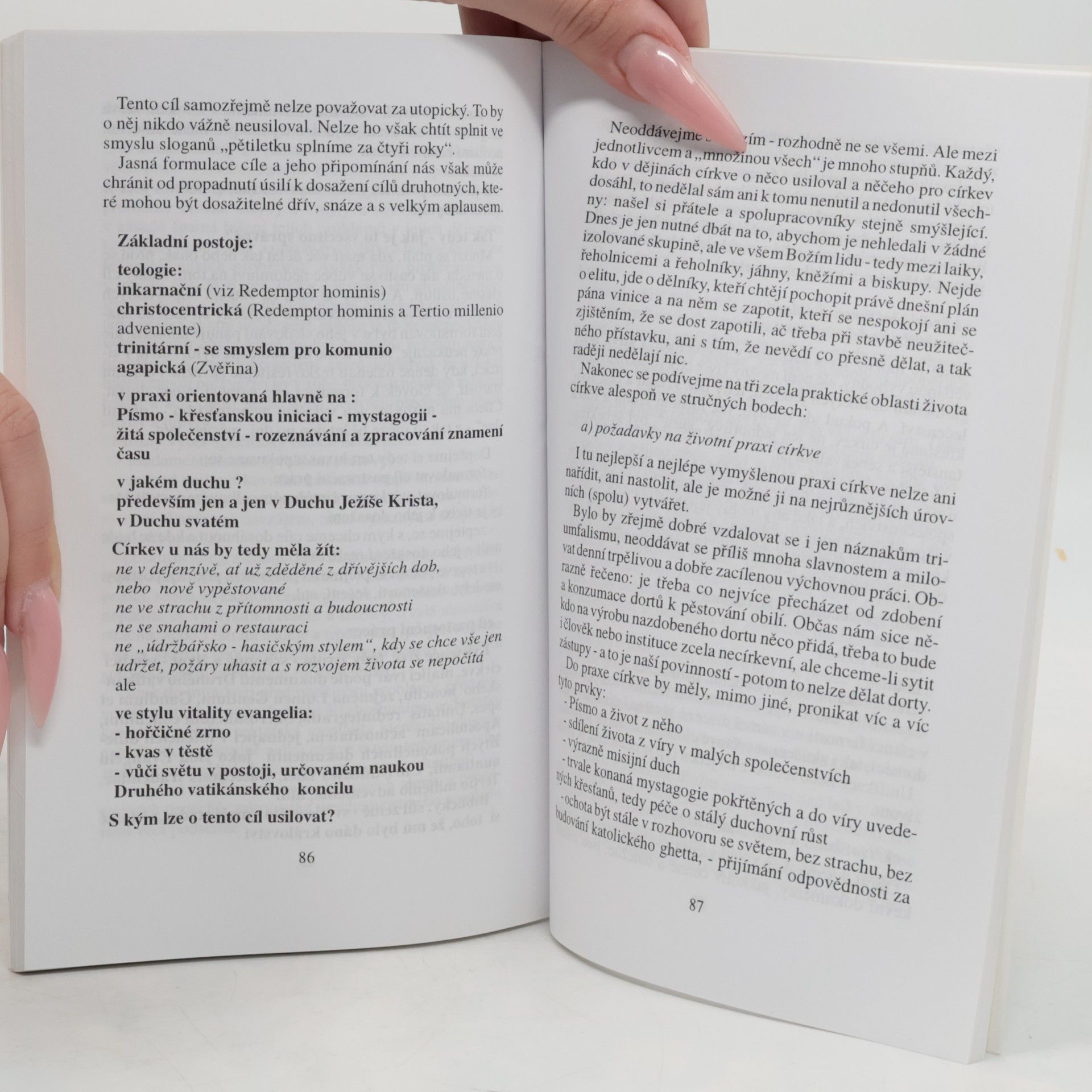 Aleš Opatrný Pastorační situace u nás