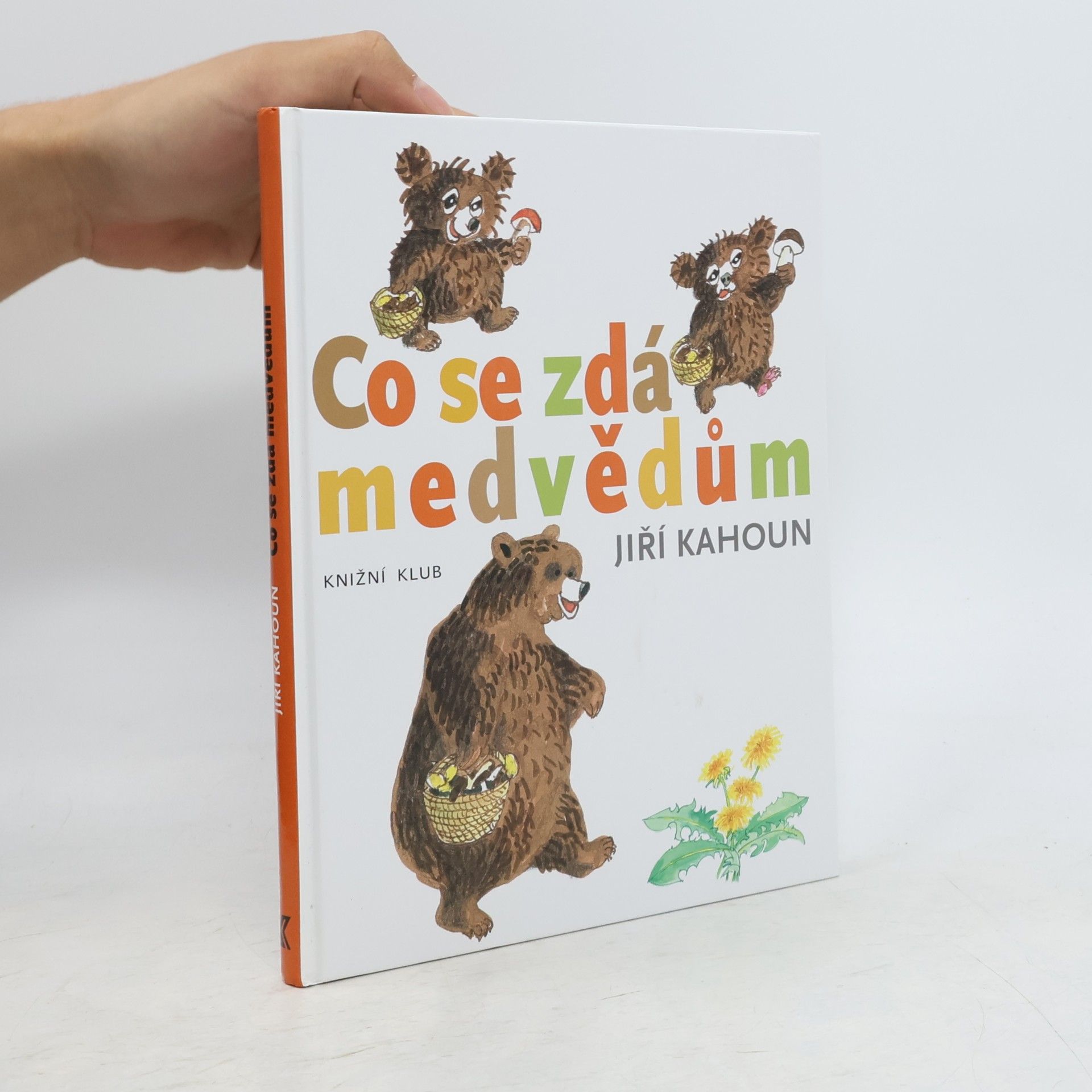 Co se zdá medvědům