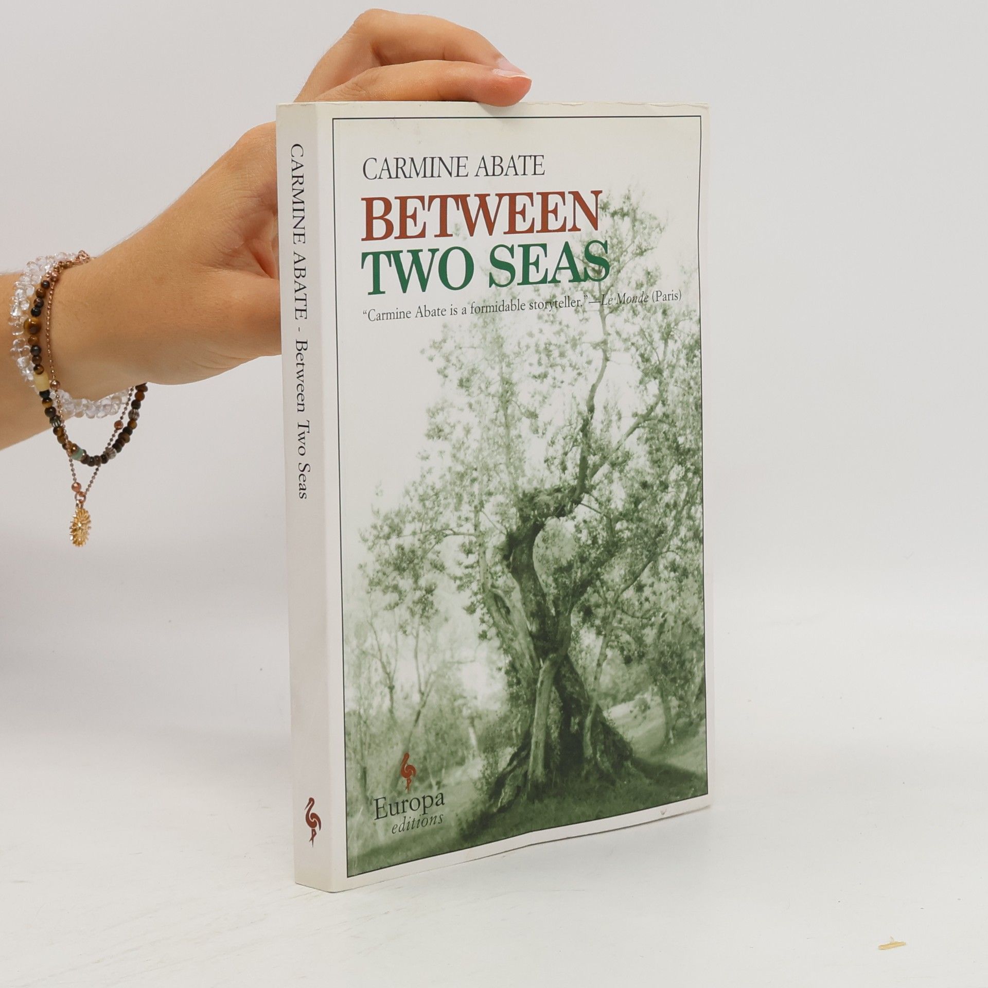 Between Two Seas