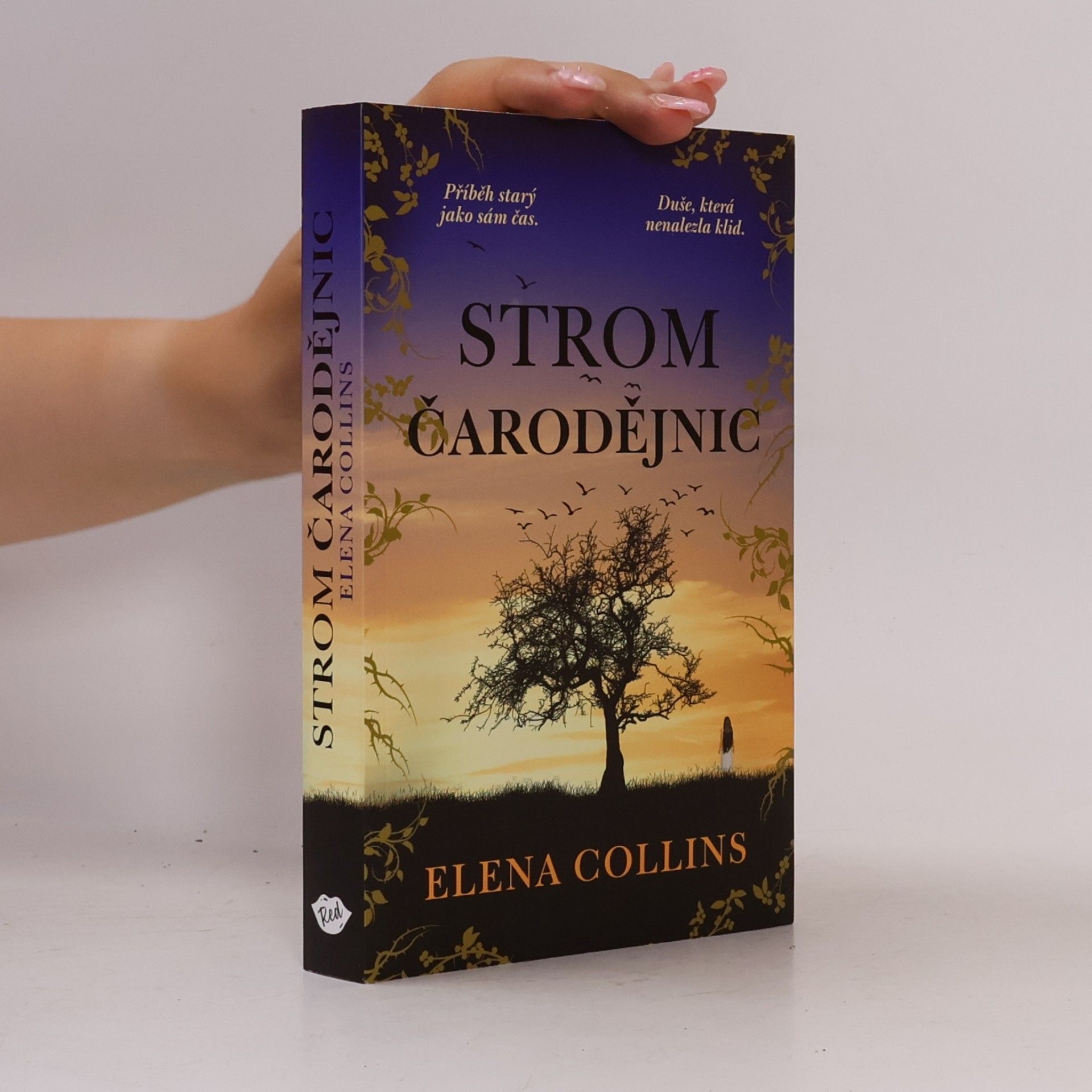 Judy Leigh Strom čarodějnic