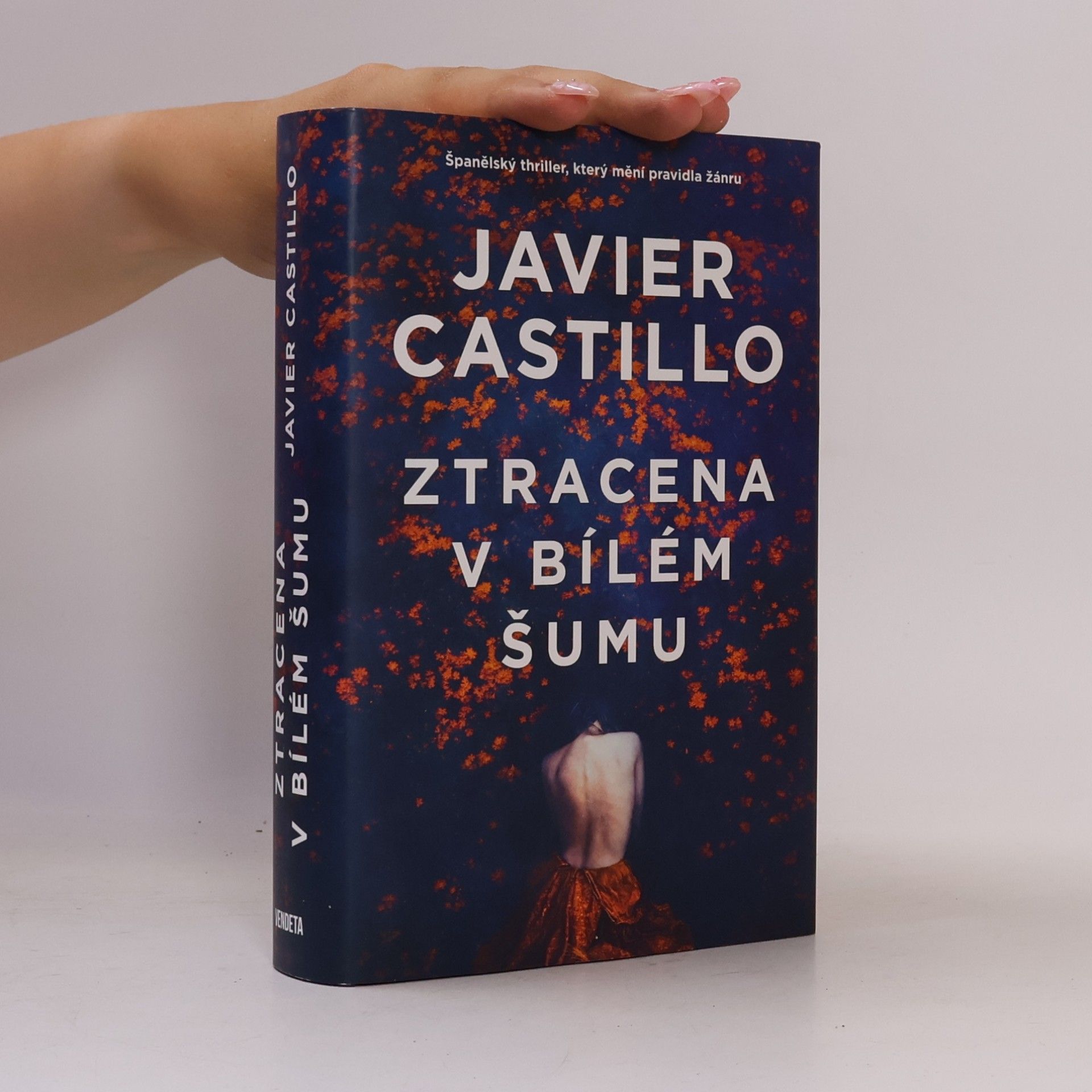 Javier Castillo Ztracena v bílém šumu