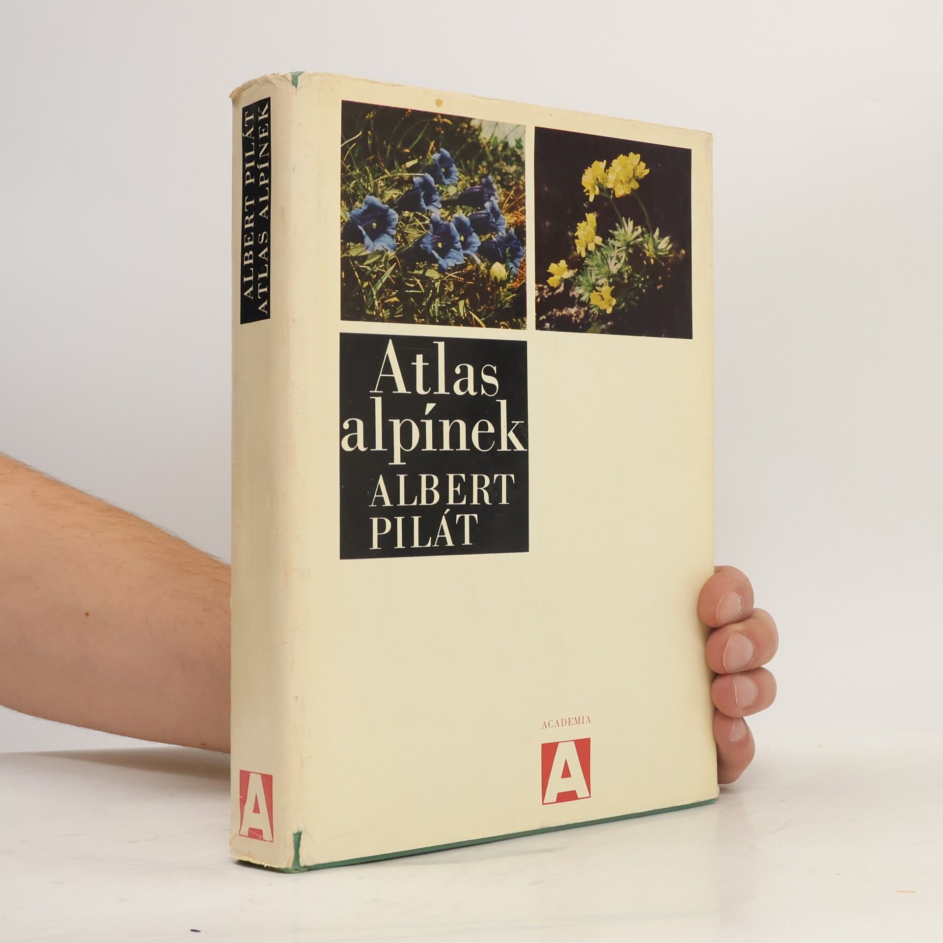 Albert Pilát Atlas alpínek