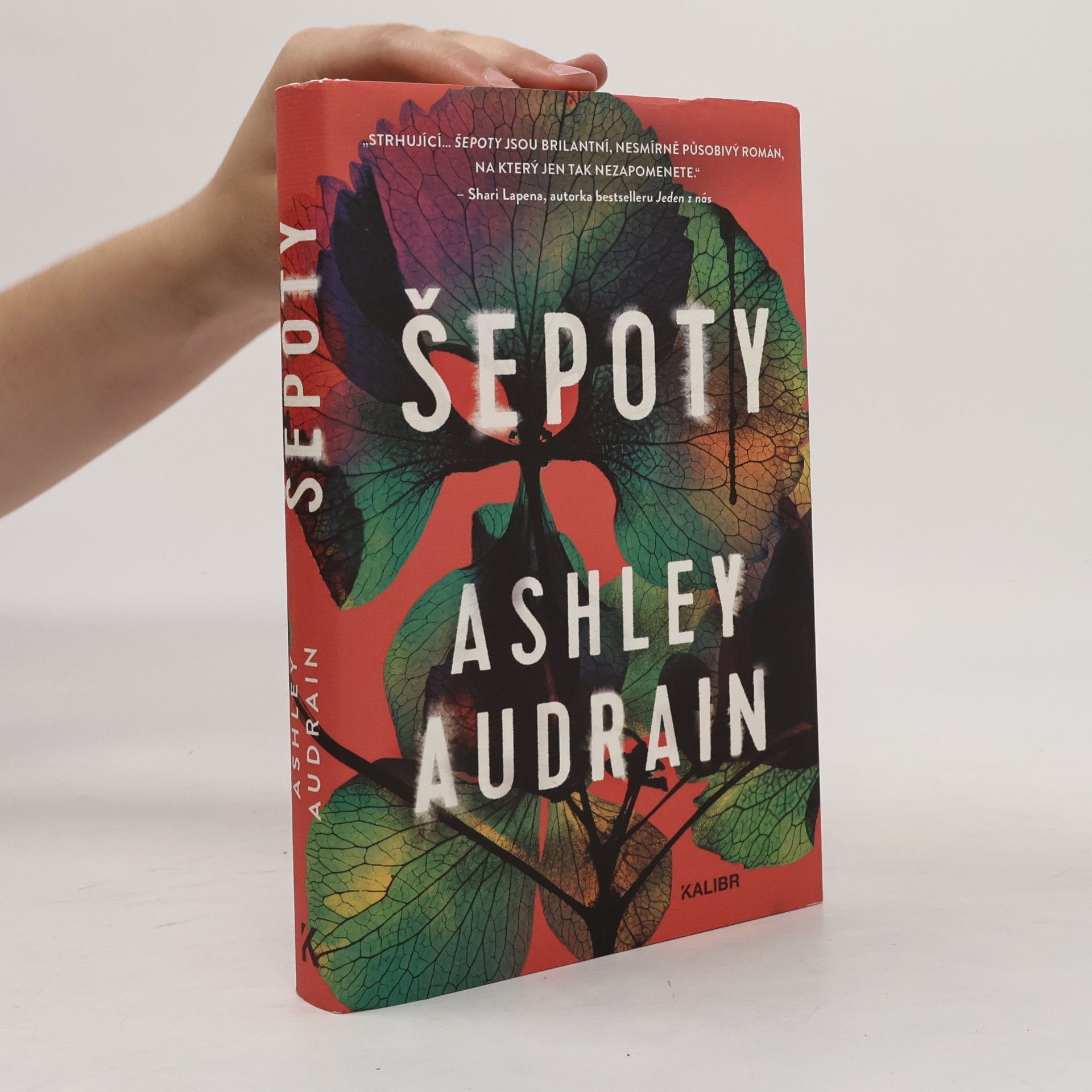 Ashley Audrain Šepoty