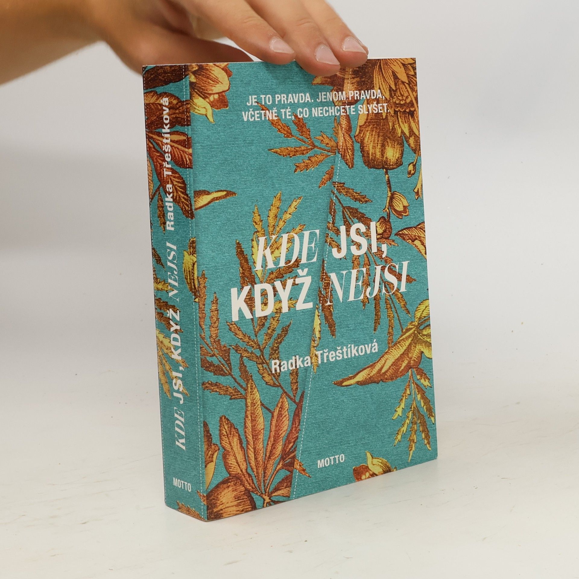 Radka Třeštíková Kde jsi, když nejsi
