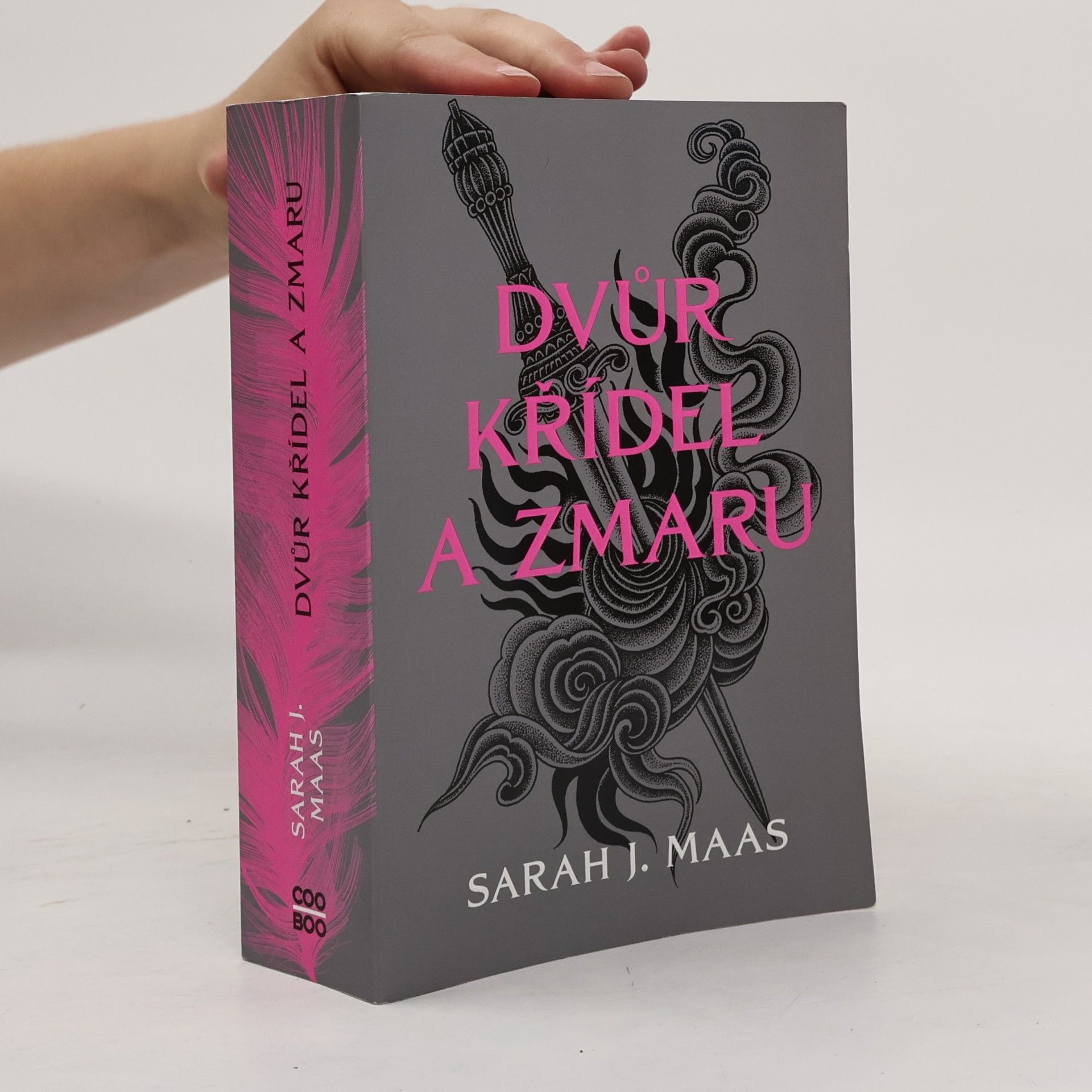 Sarah J. Maas Dvůr křídel a zmaru