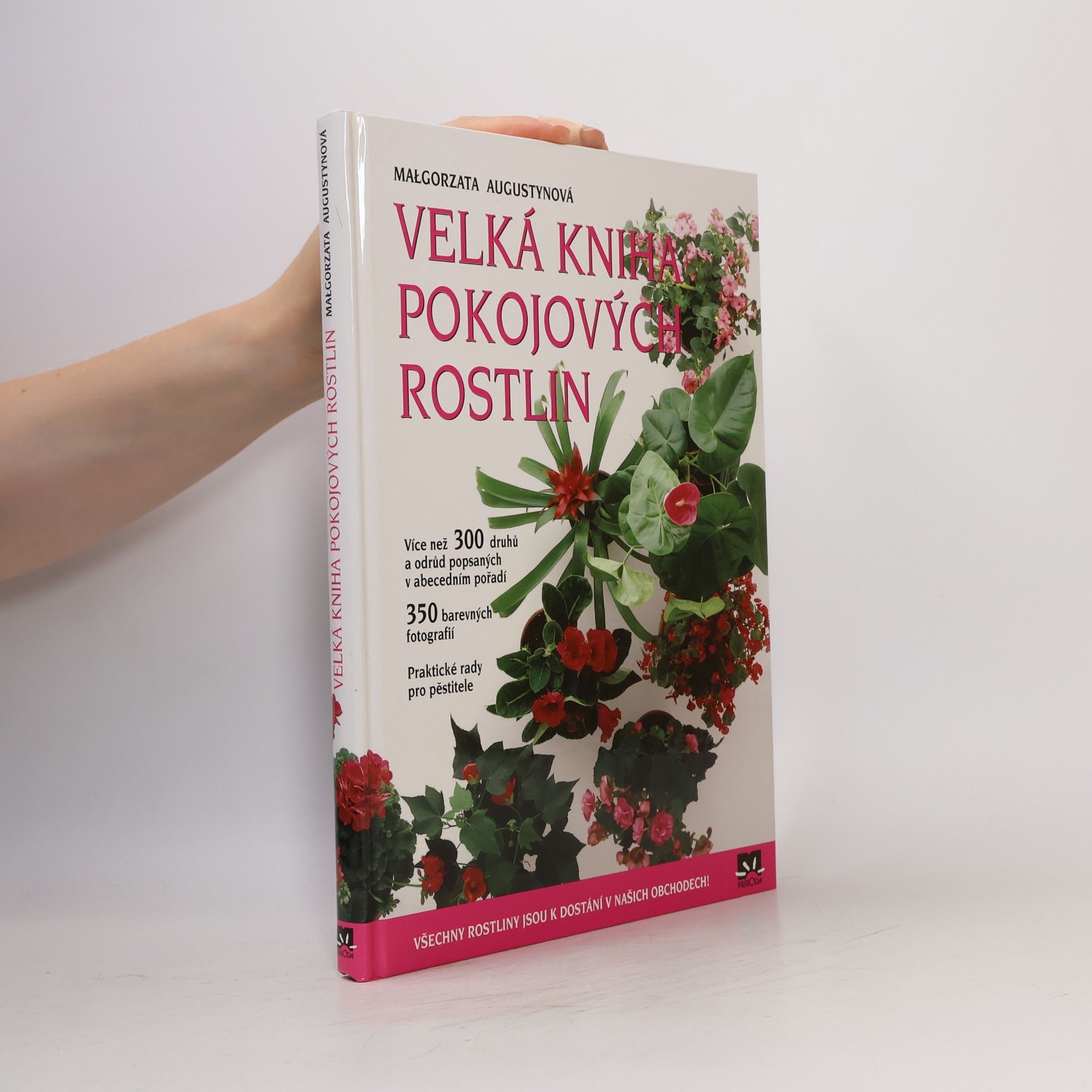 Małgorzata Augustyn Velká kniha pokojových rostlin