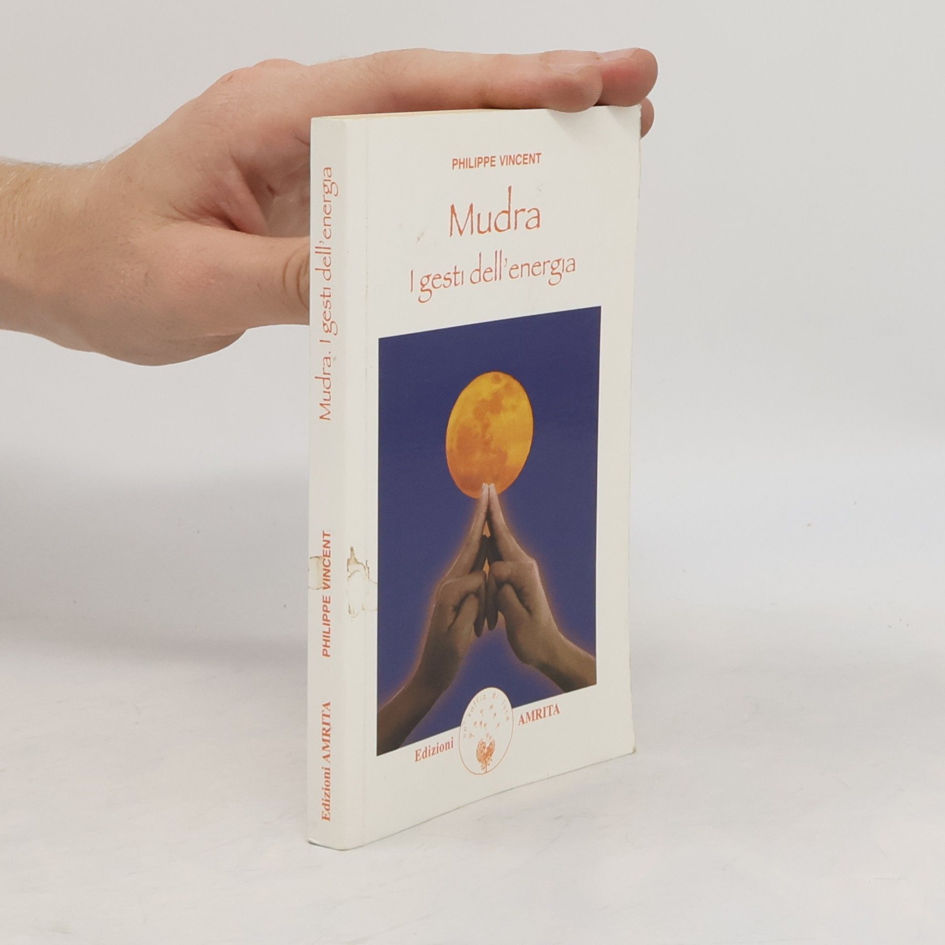 Vincent Philippe Energie: Mudra. I gesti dell'energia