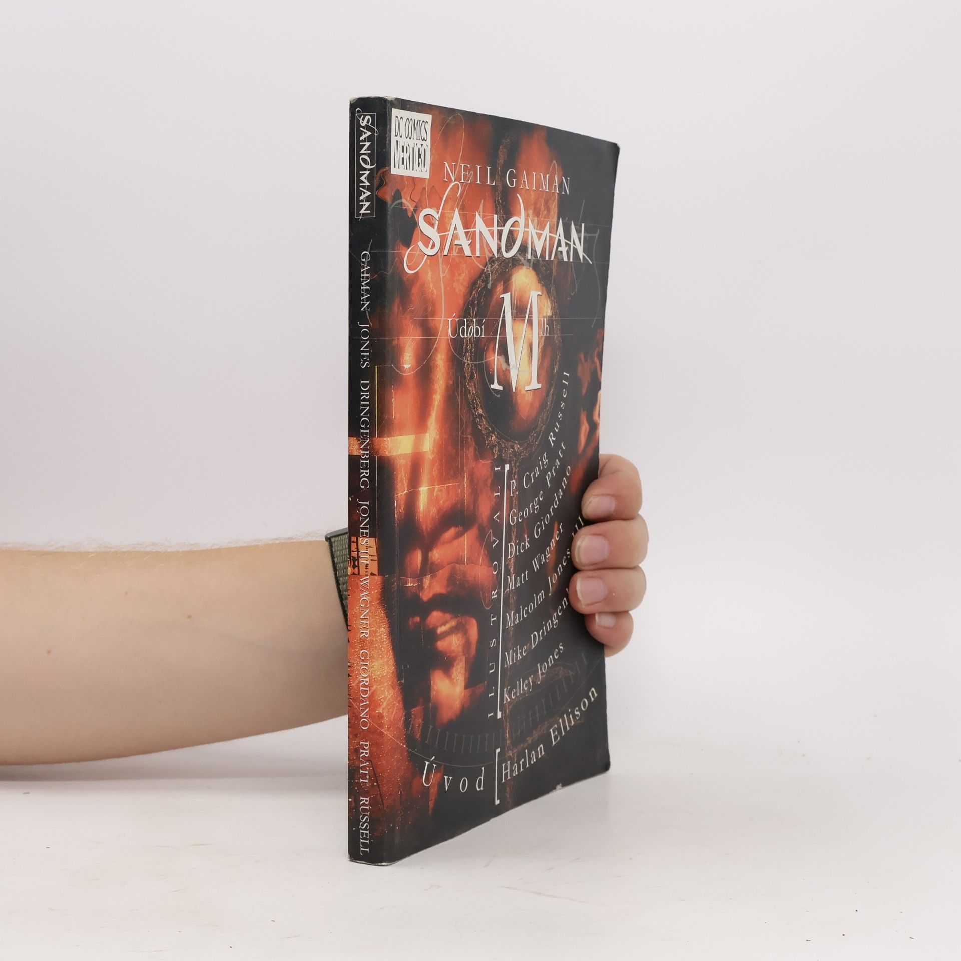 Neil Gaiman Sandman. Údobí mlh