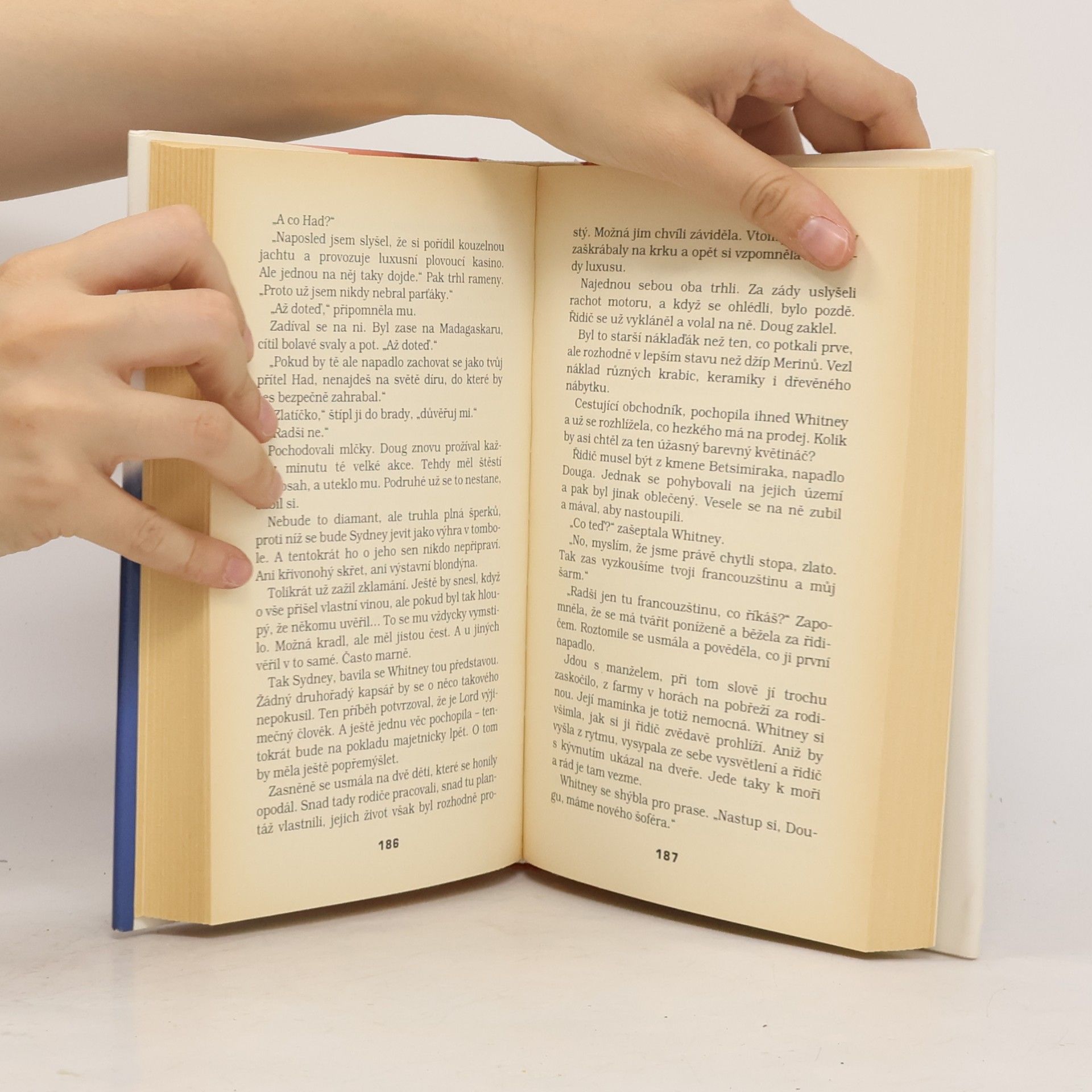 Nora Roberts Žhavý led
