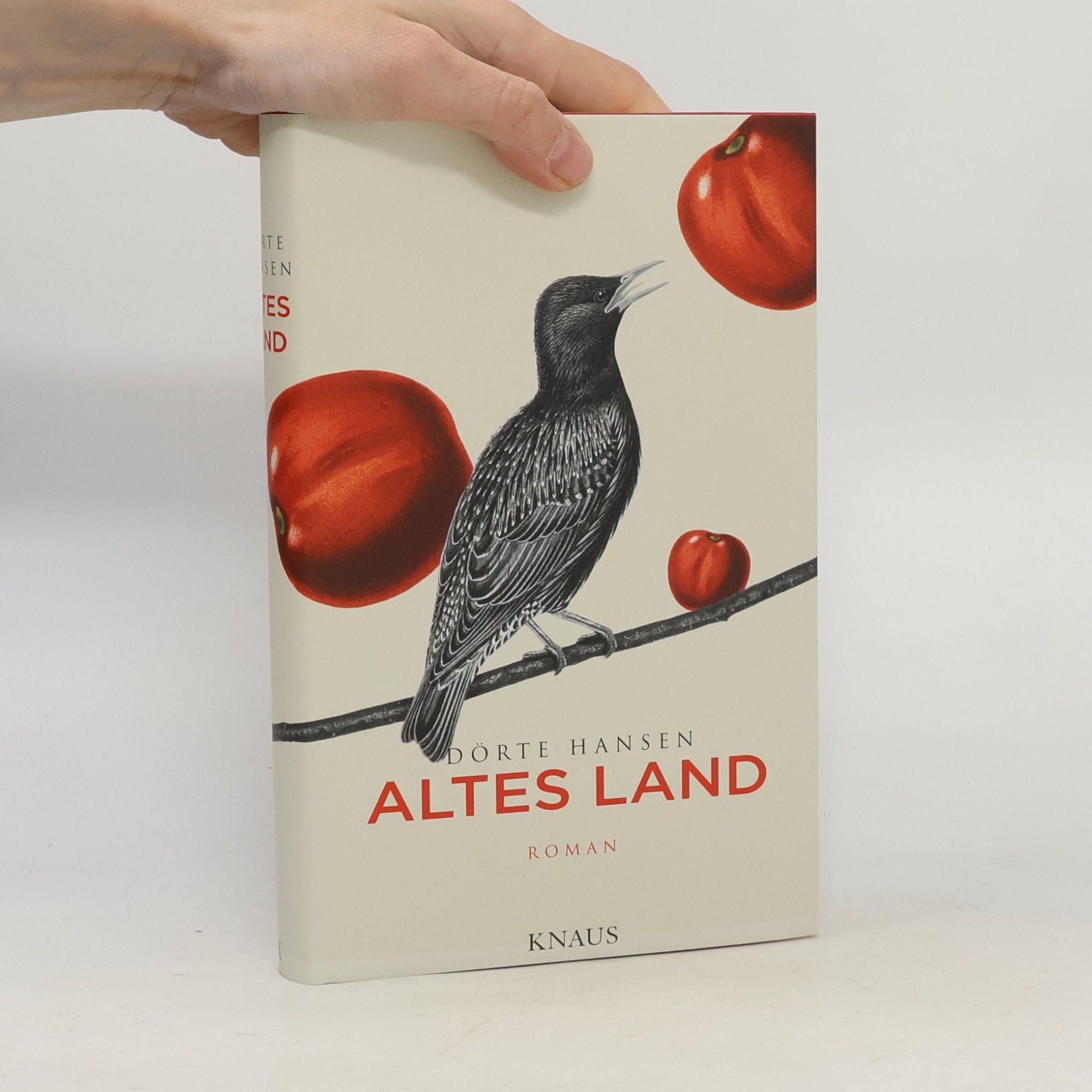 Altes Land