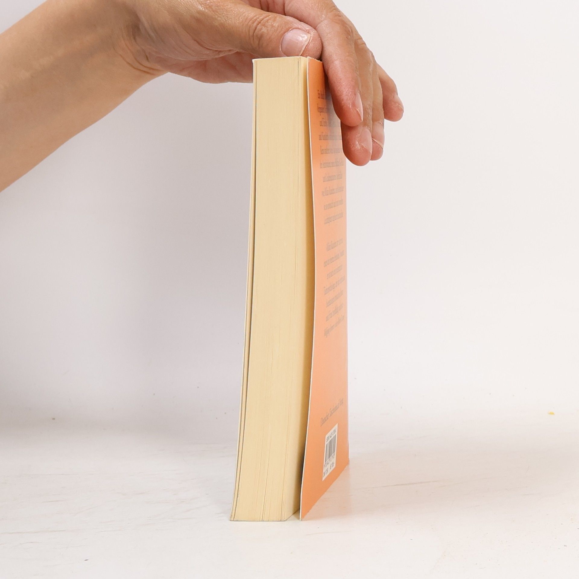 Milan Kundera Das buch vom Lachen und Vergessen