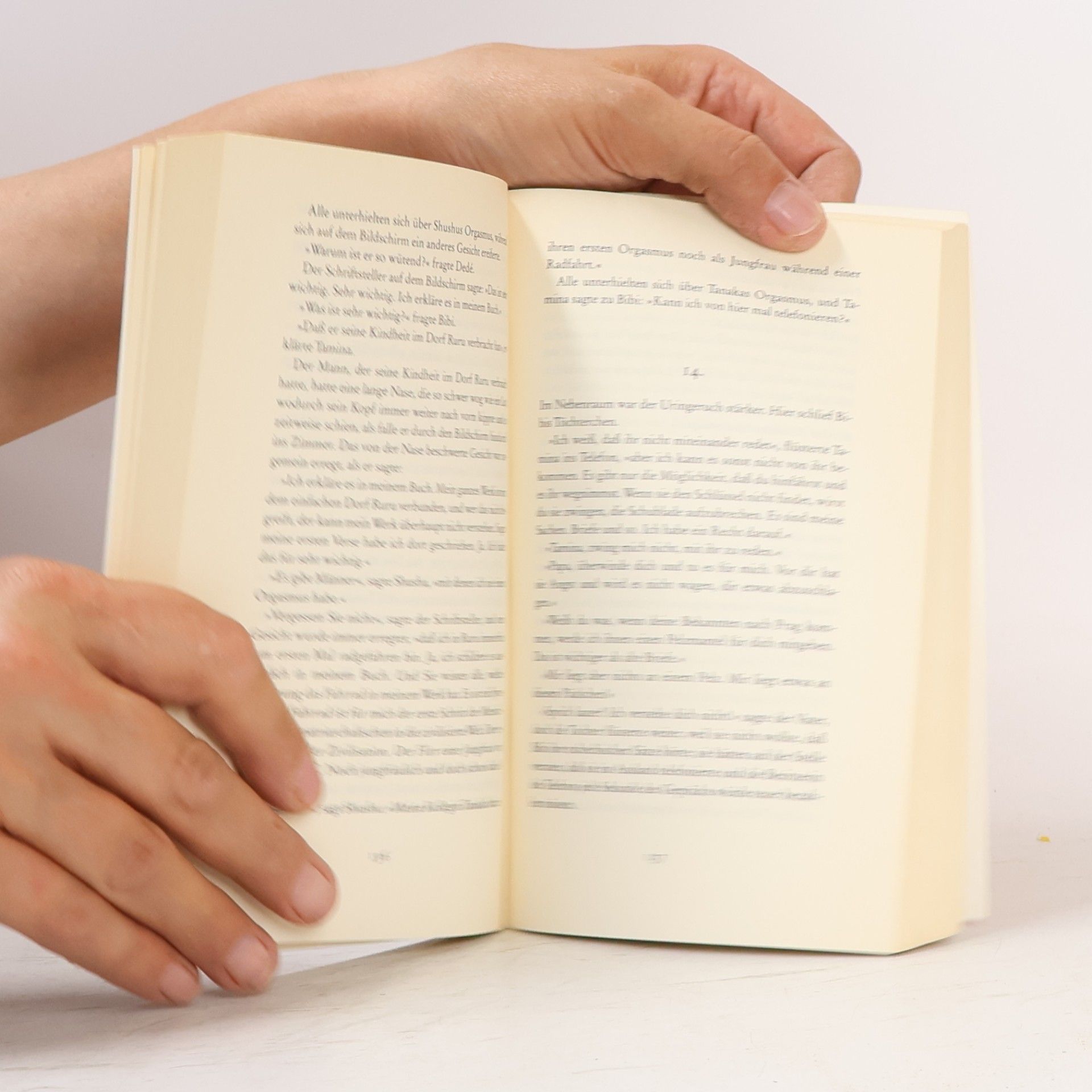 Milan Kundera Das buch vom Lachen und Vergessen