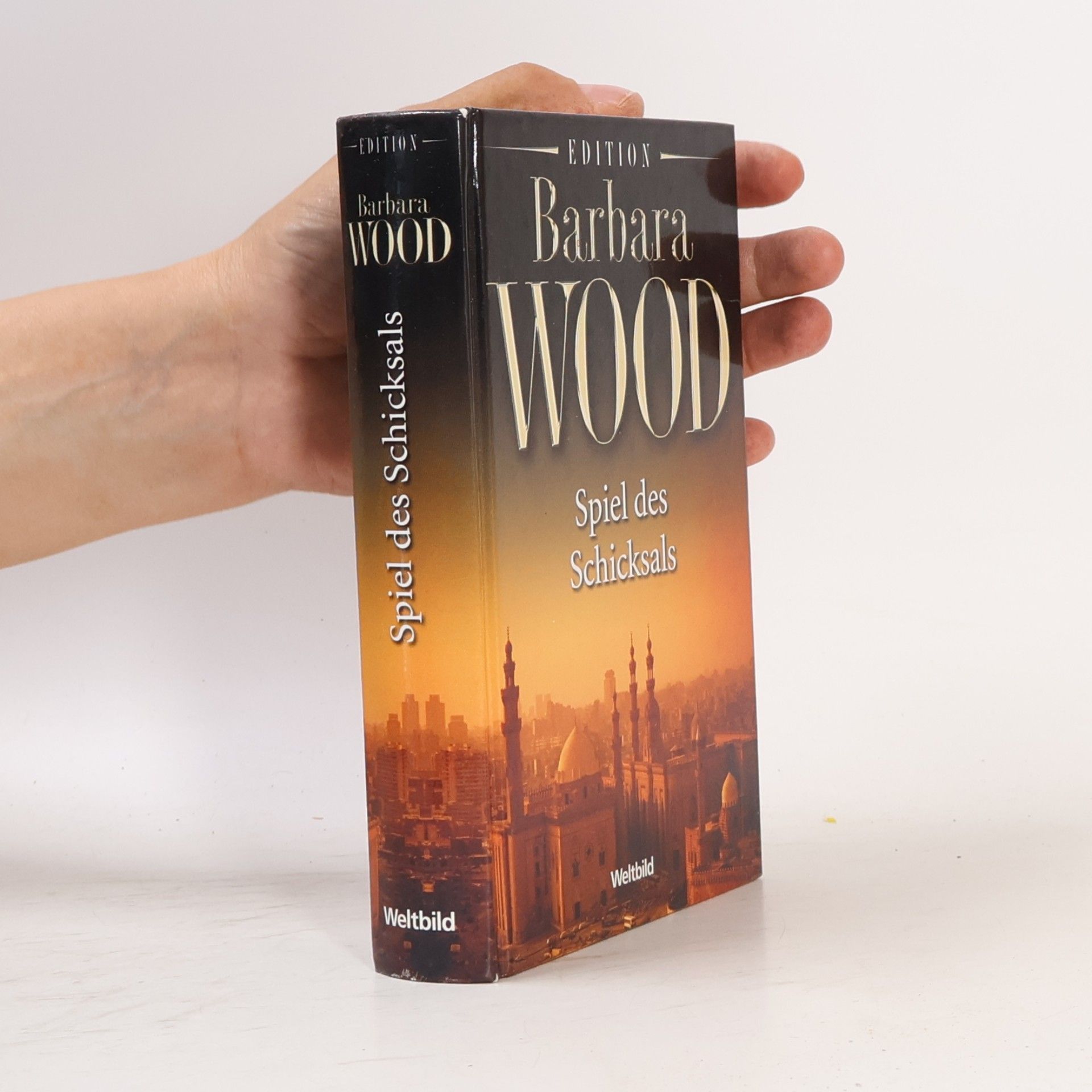 Barbara Wood Spiel des Schicksals