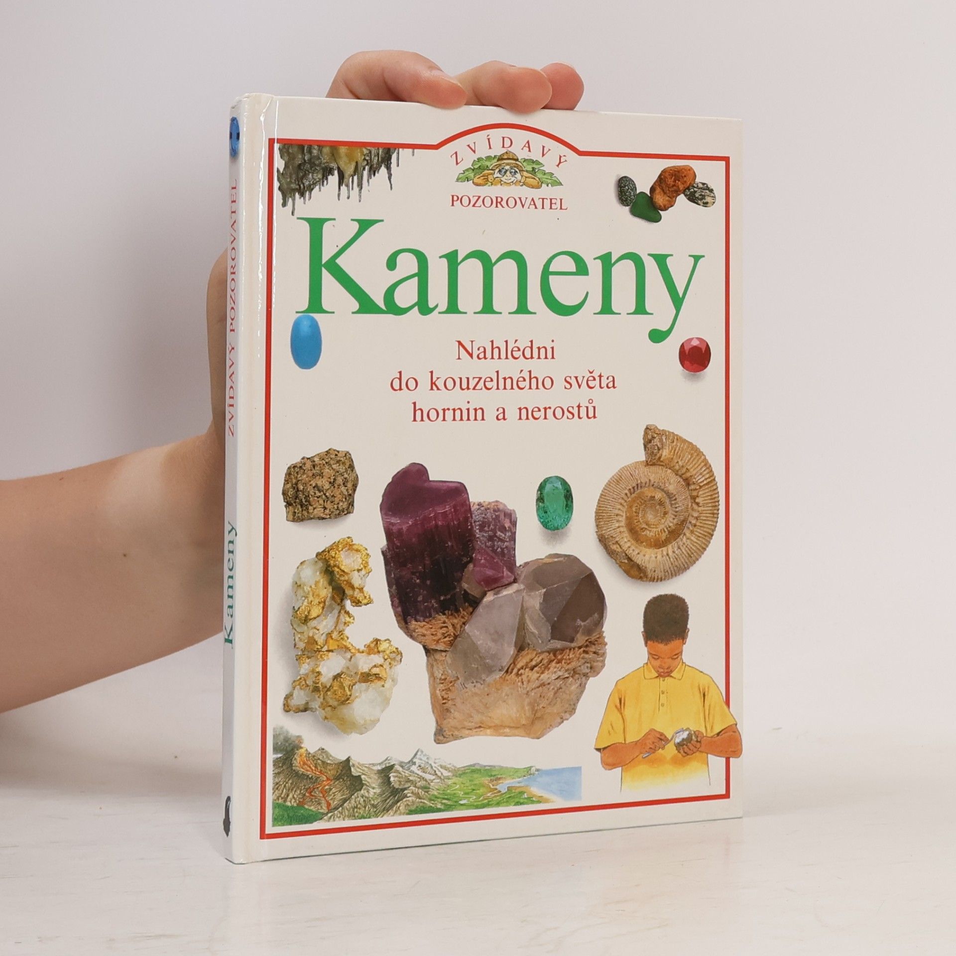 Steve Parker Kameny