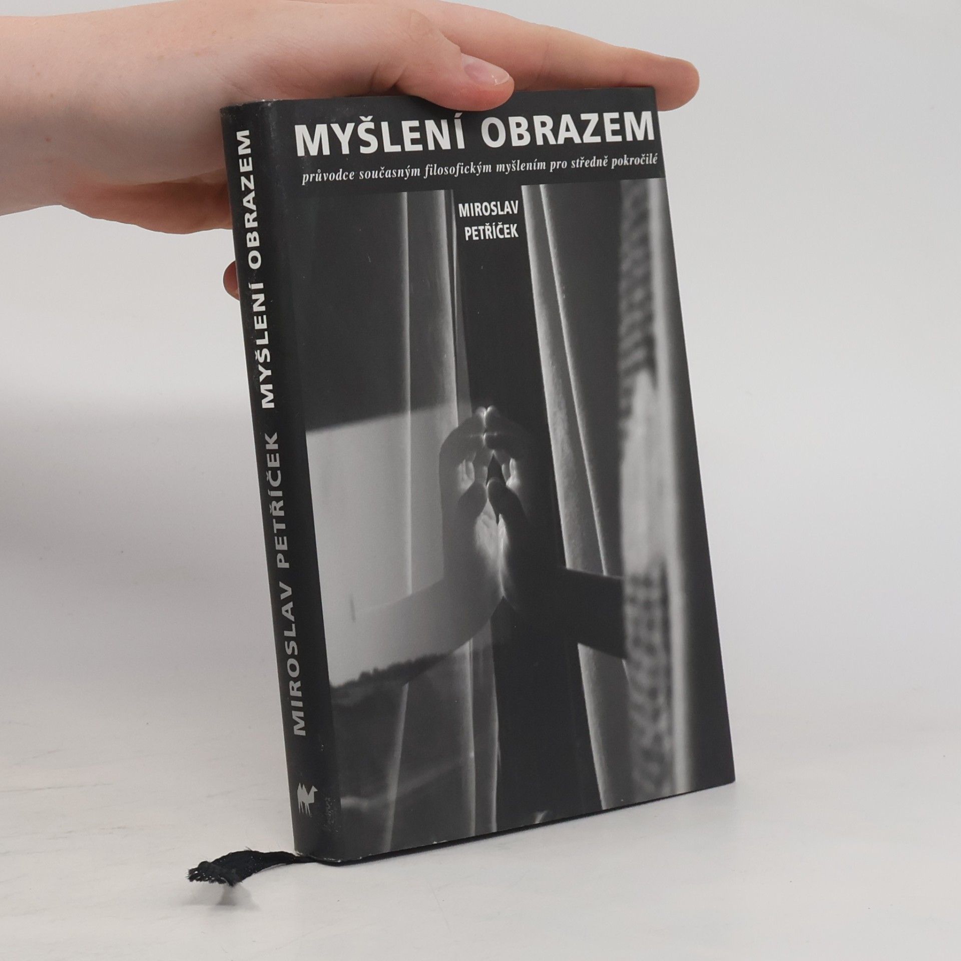 Miroslav Petříček Myšlení obrazem: Průvodce současným filosofickým myšlením pro středně nepokročilé