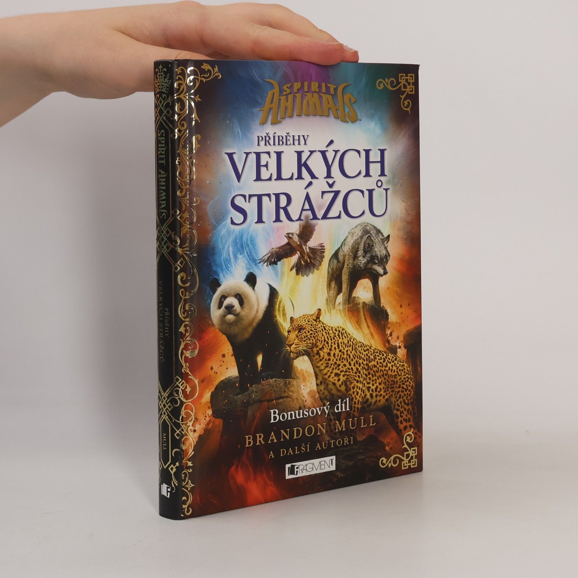 Emily Seife Příběhy Velkých strážců